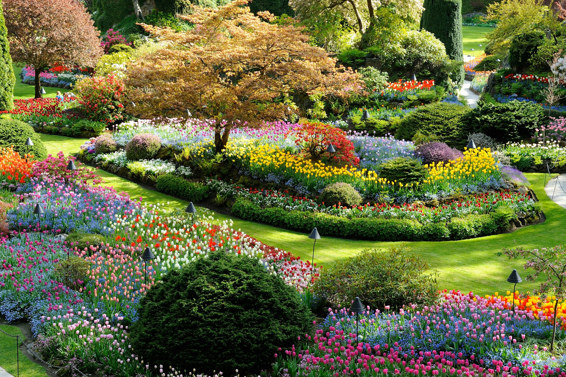 Butchart Gardens on Vancouver Island during spring