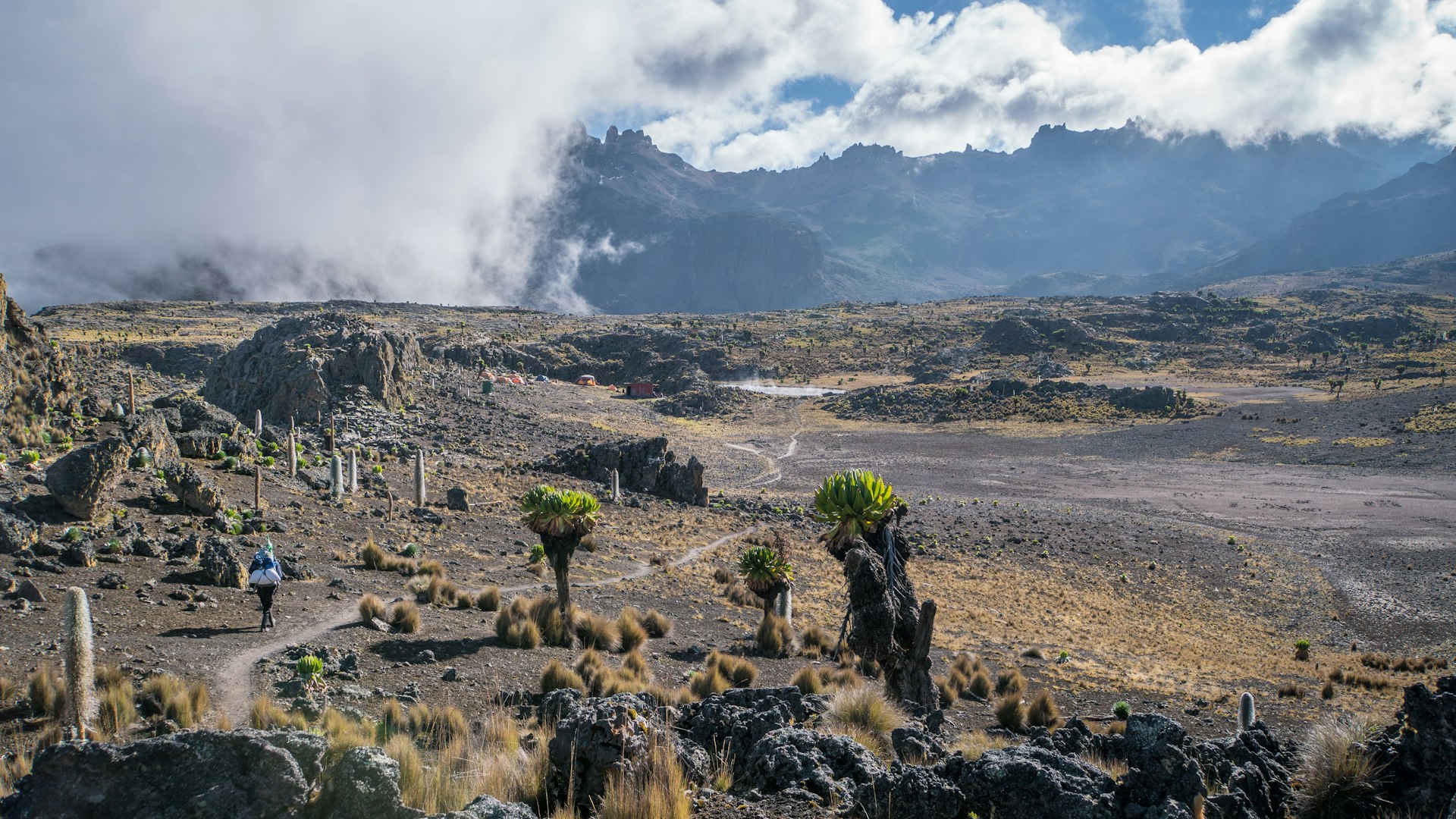 Scenery on Mt Kenya at 4200m above sea level 