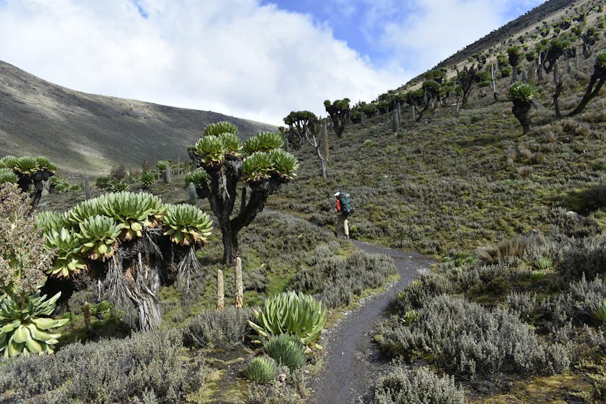 The mountainous landscape on the main route toward the summit of Mount Kenya