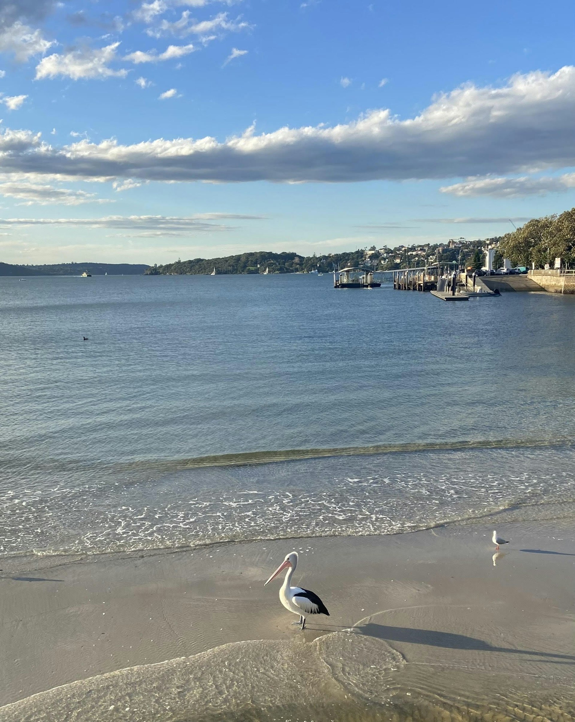 A beach scene just outside of Sydney