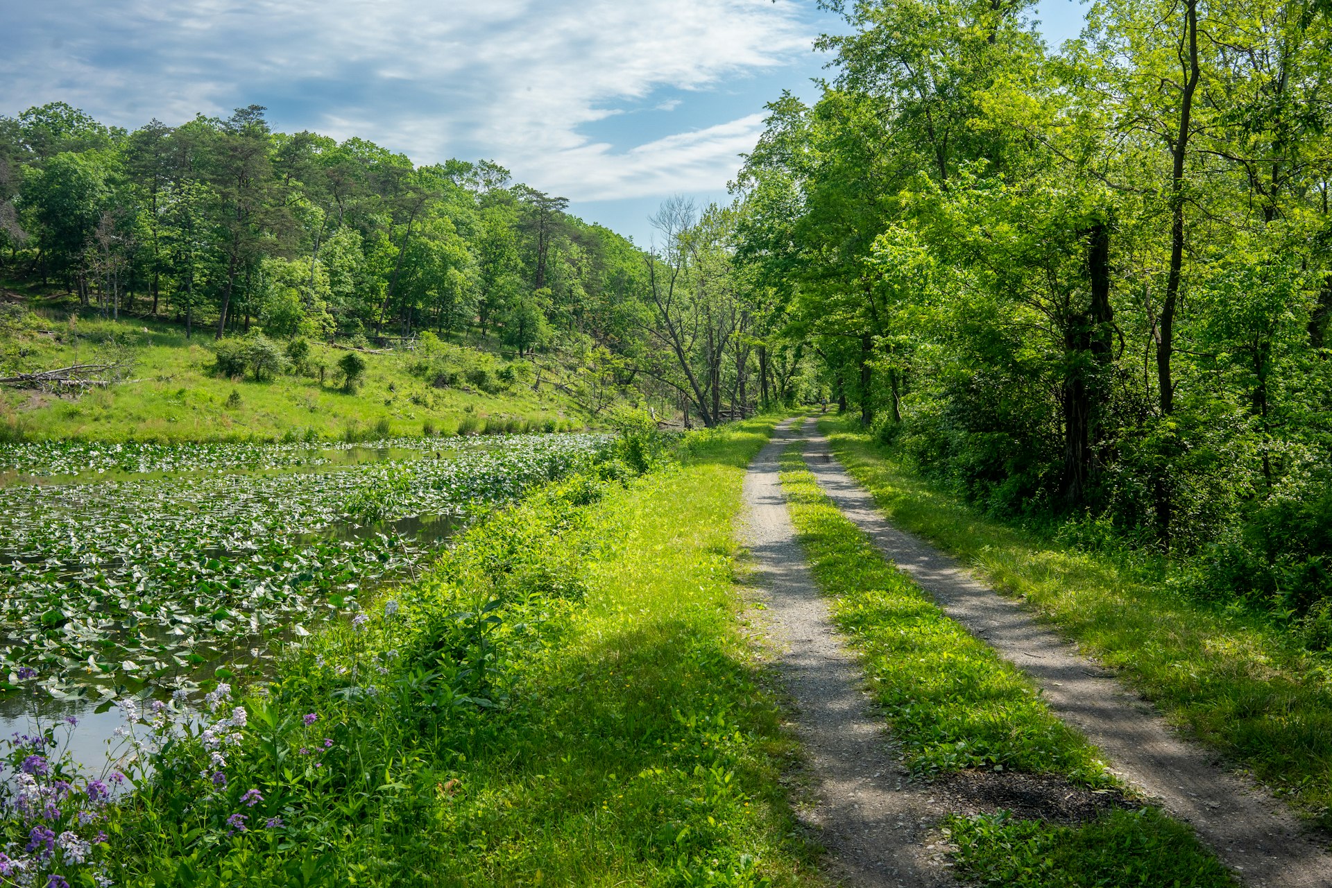 C&O Canal Towpath