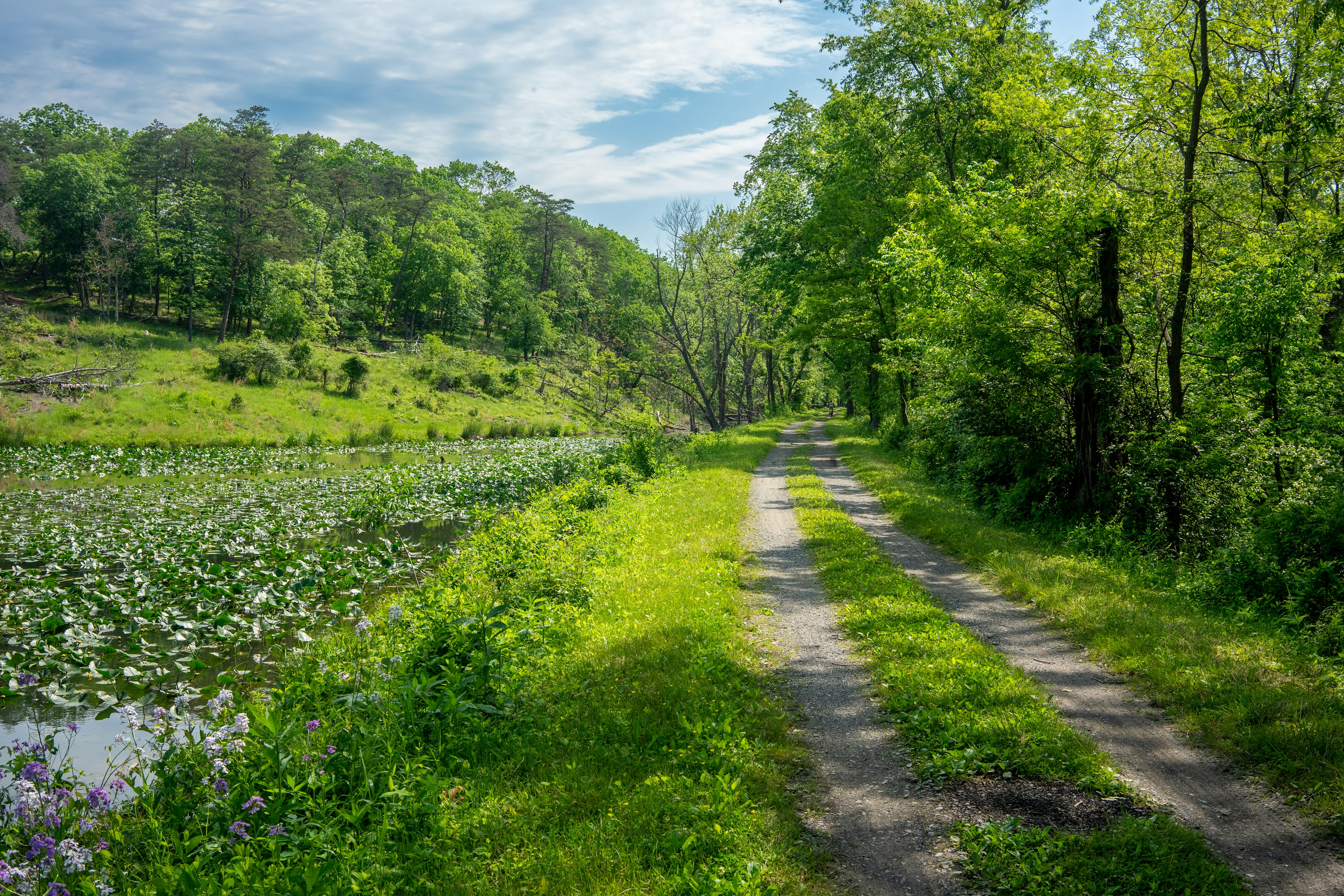 C&O Canal Towpath