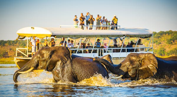 Top Reasons New Zealand Travellers Choose Botswana Adventure Tours - Unique Experiences Offered in Botswana