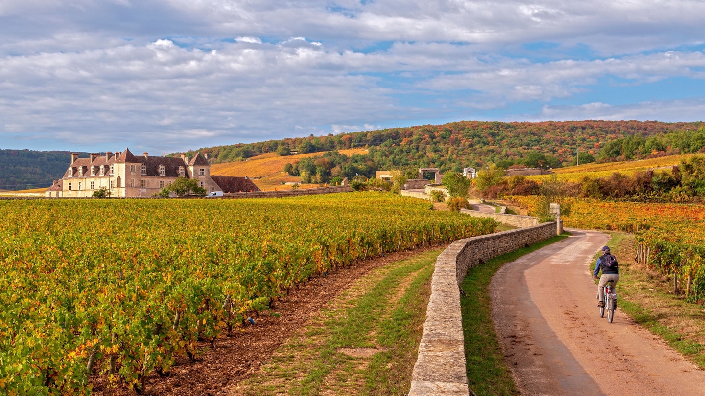 cycling in burgundy france