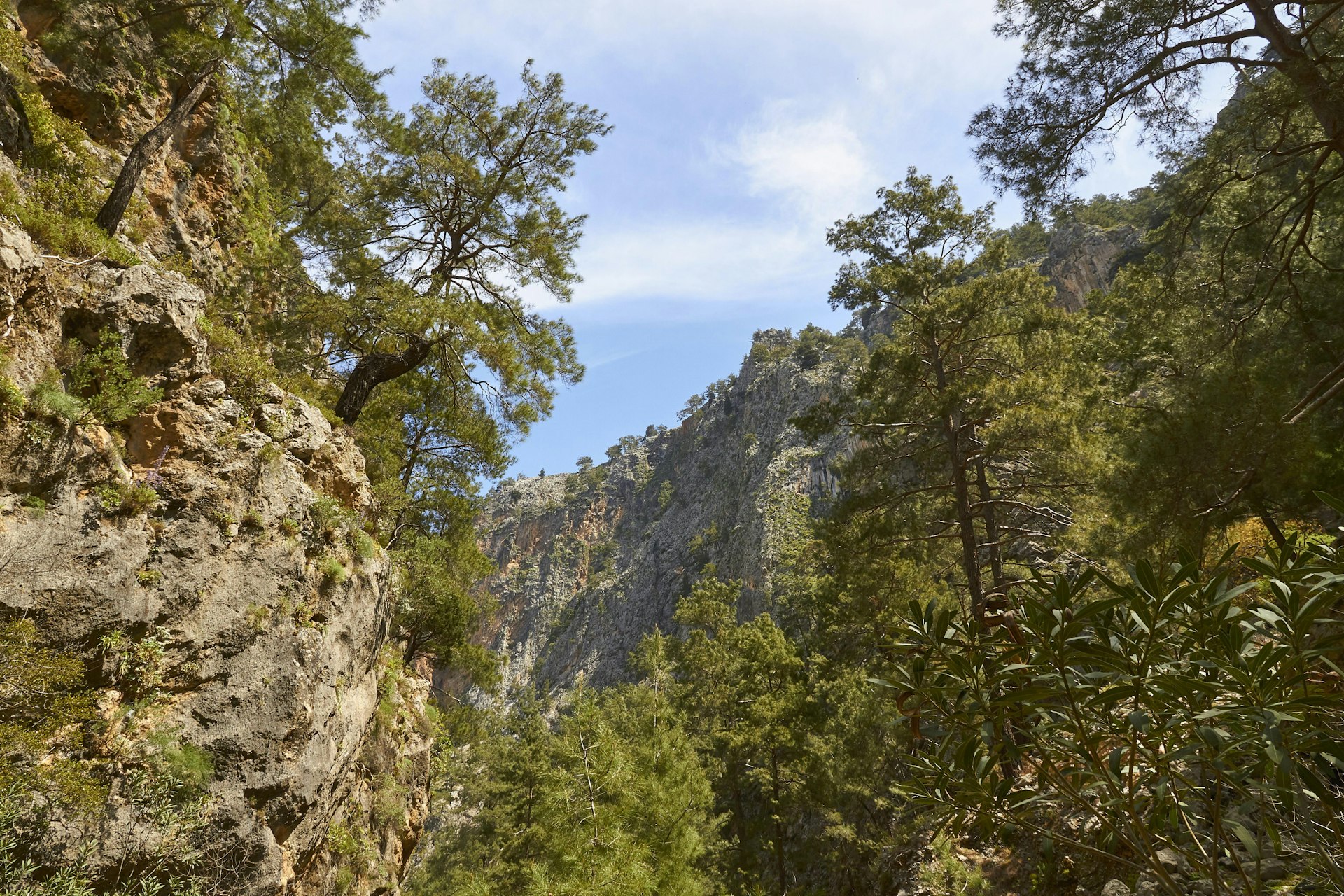 Rocky cliffs in the Agia Irini Gorge