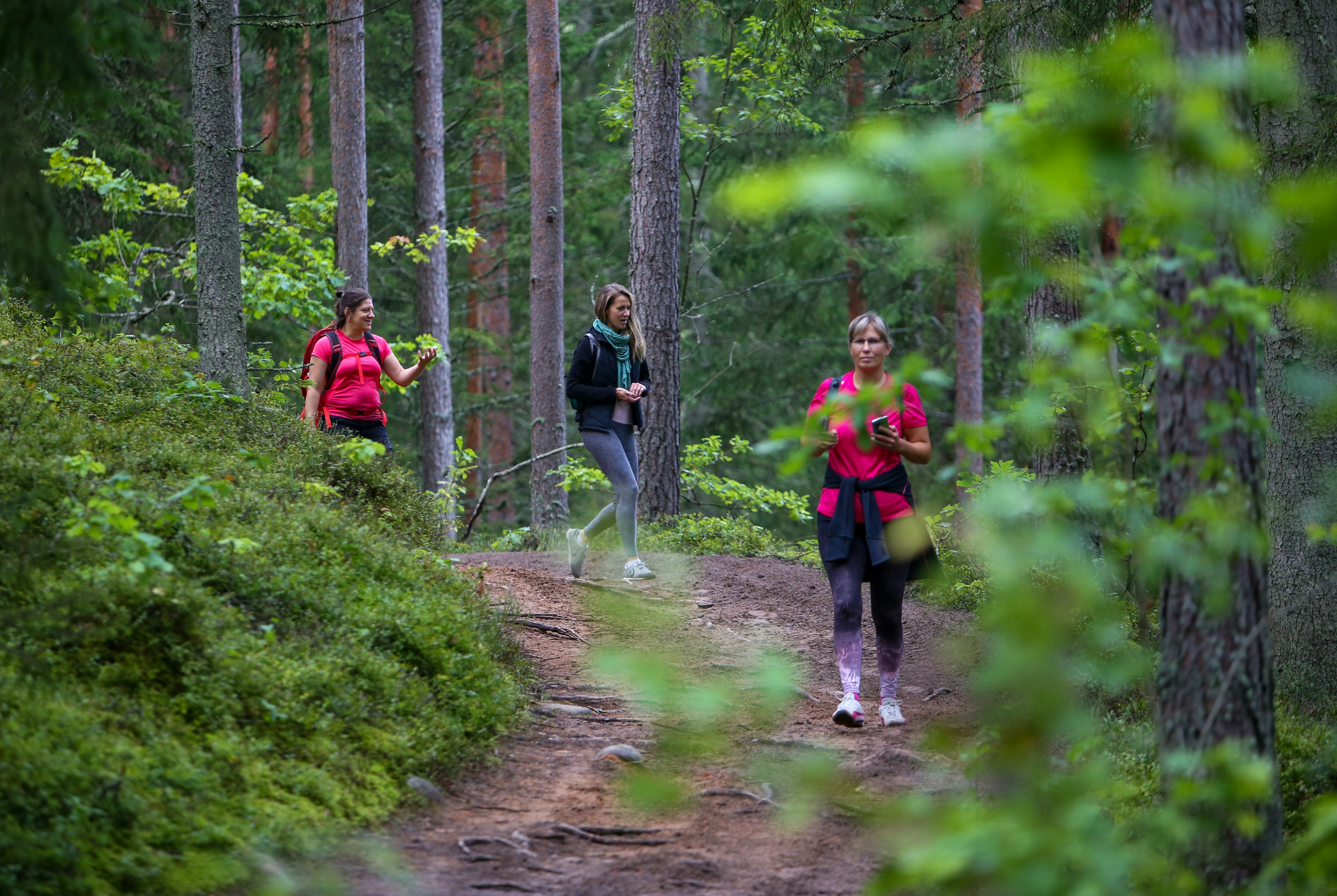 Hiking the forest trail