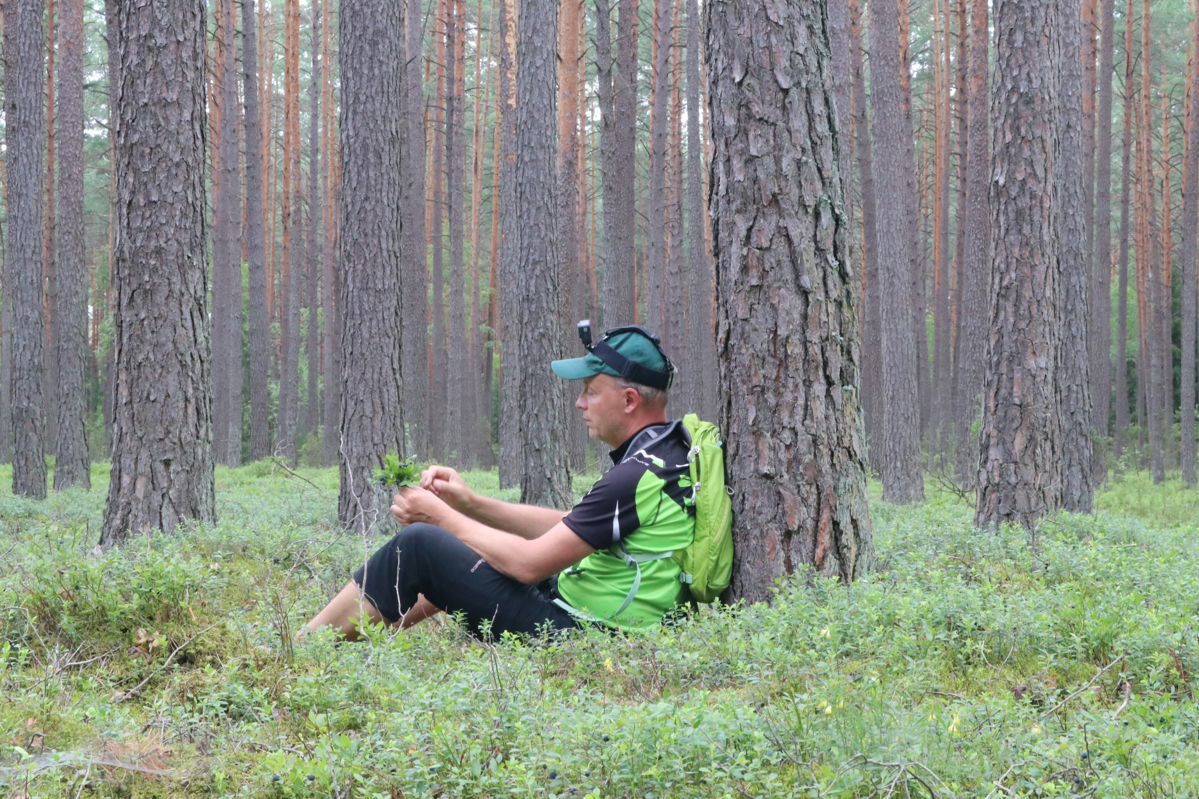 Taking a break along The Forest Trail