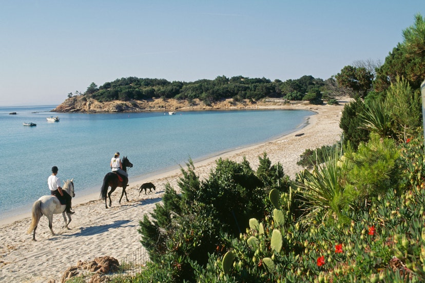 Horse riders on Palombaggia Beach near Porto Vecchio on the island of Corsica. | Location: Near Porto Vecchio, Corsica, France.