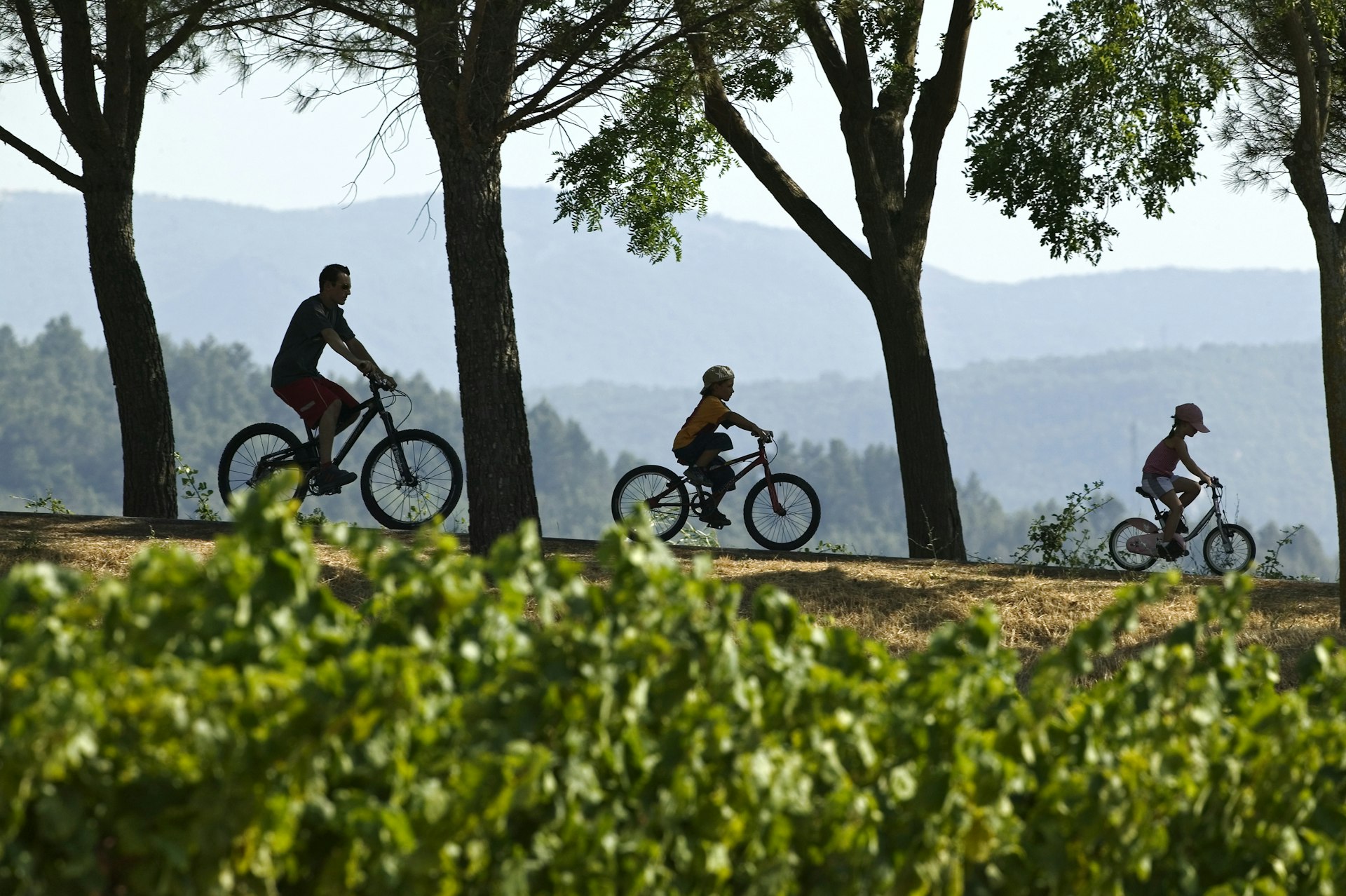 A family cycling in the countryside in Provence, France
