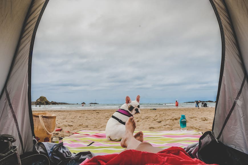 Camping with dog at Summerleaze Beach in Bude, Cornwall
