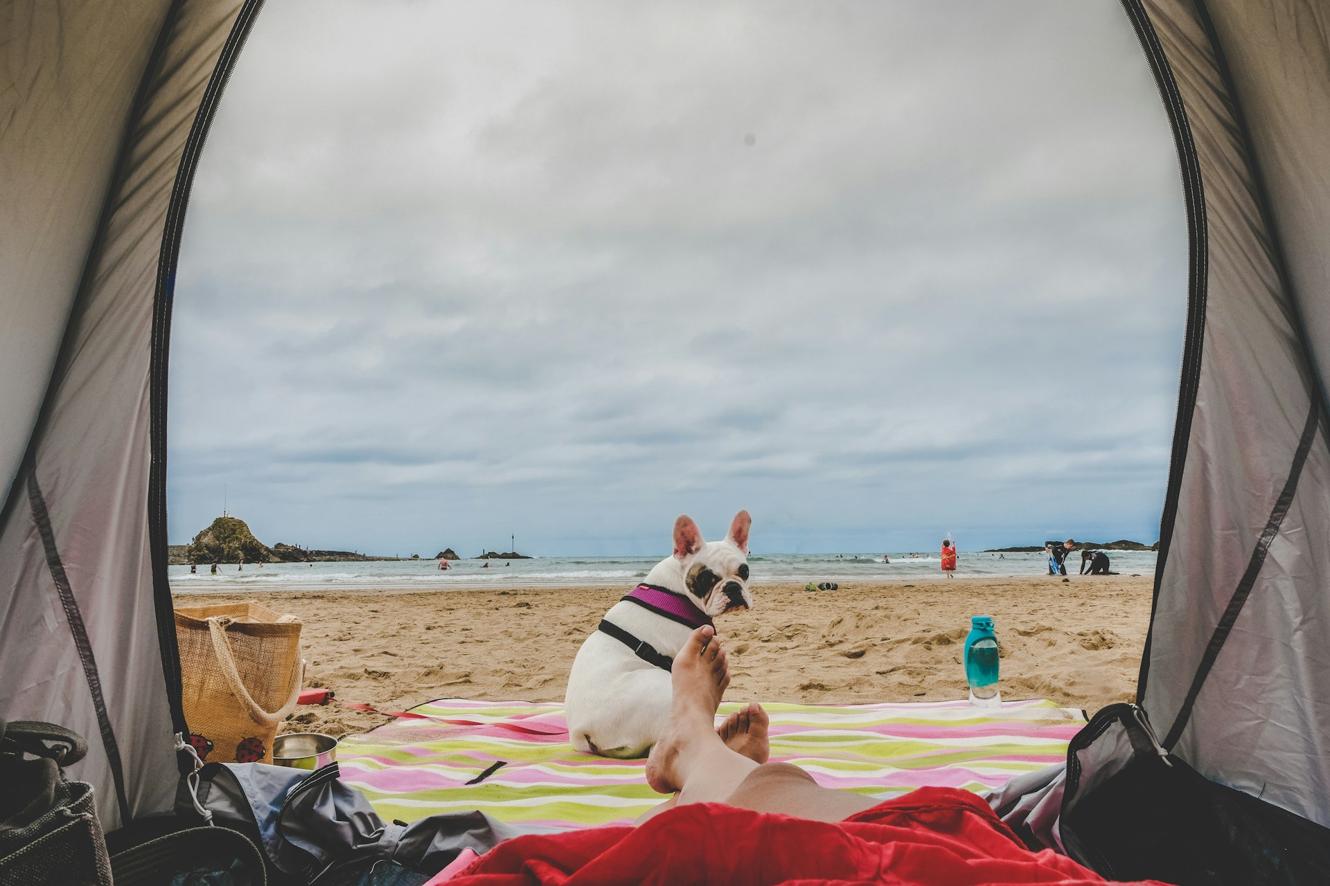 Camping with dog at Summerleaze Beach in Bude, Cornwall
