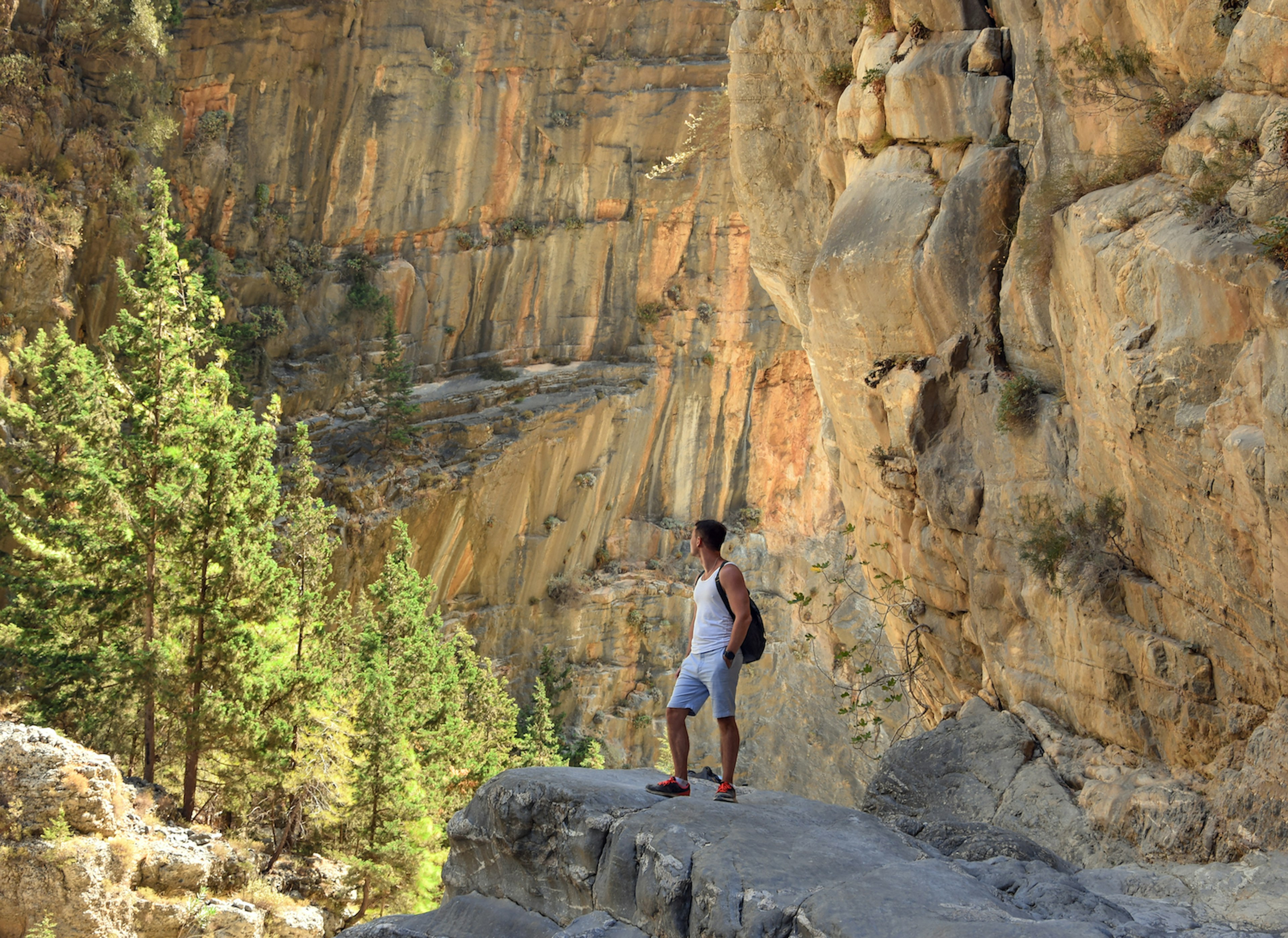 A male hiker stands on a rock admiring the view among the cliffs of Samaria Gorge, Samaria National Park, Crete, Greece