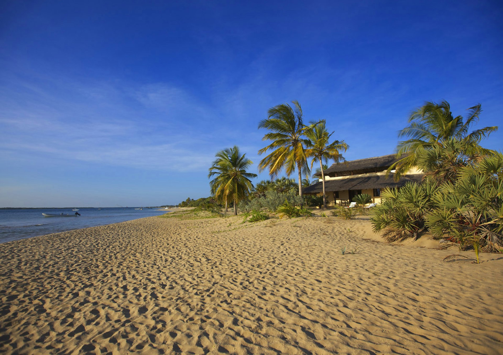 A sandy palm-lined beach