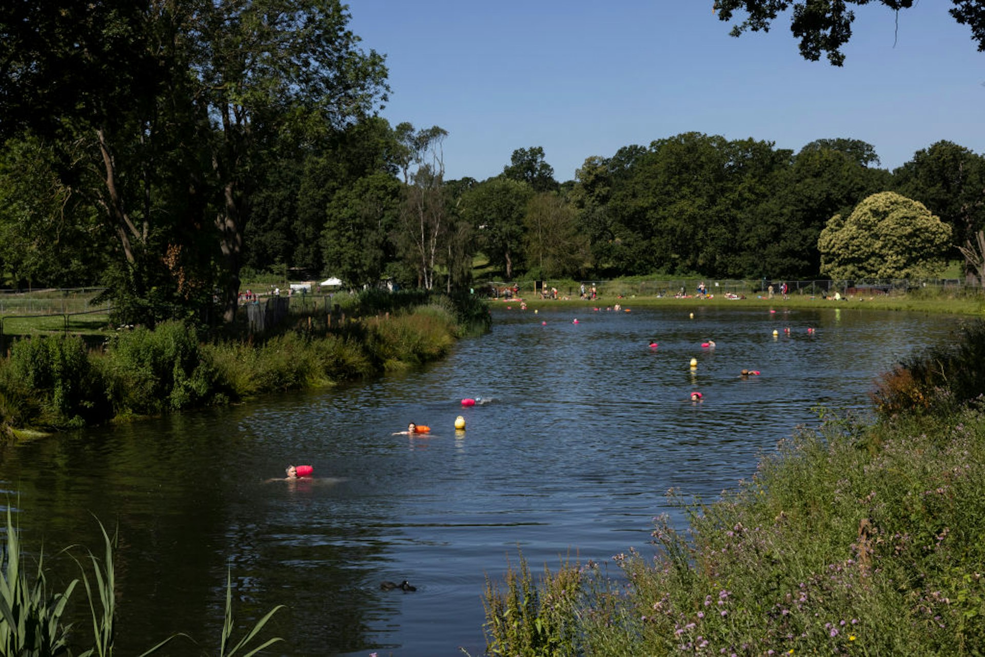 People swim in the lake at Beckenham Place Park