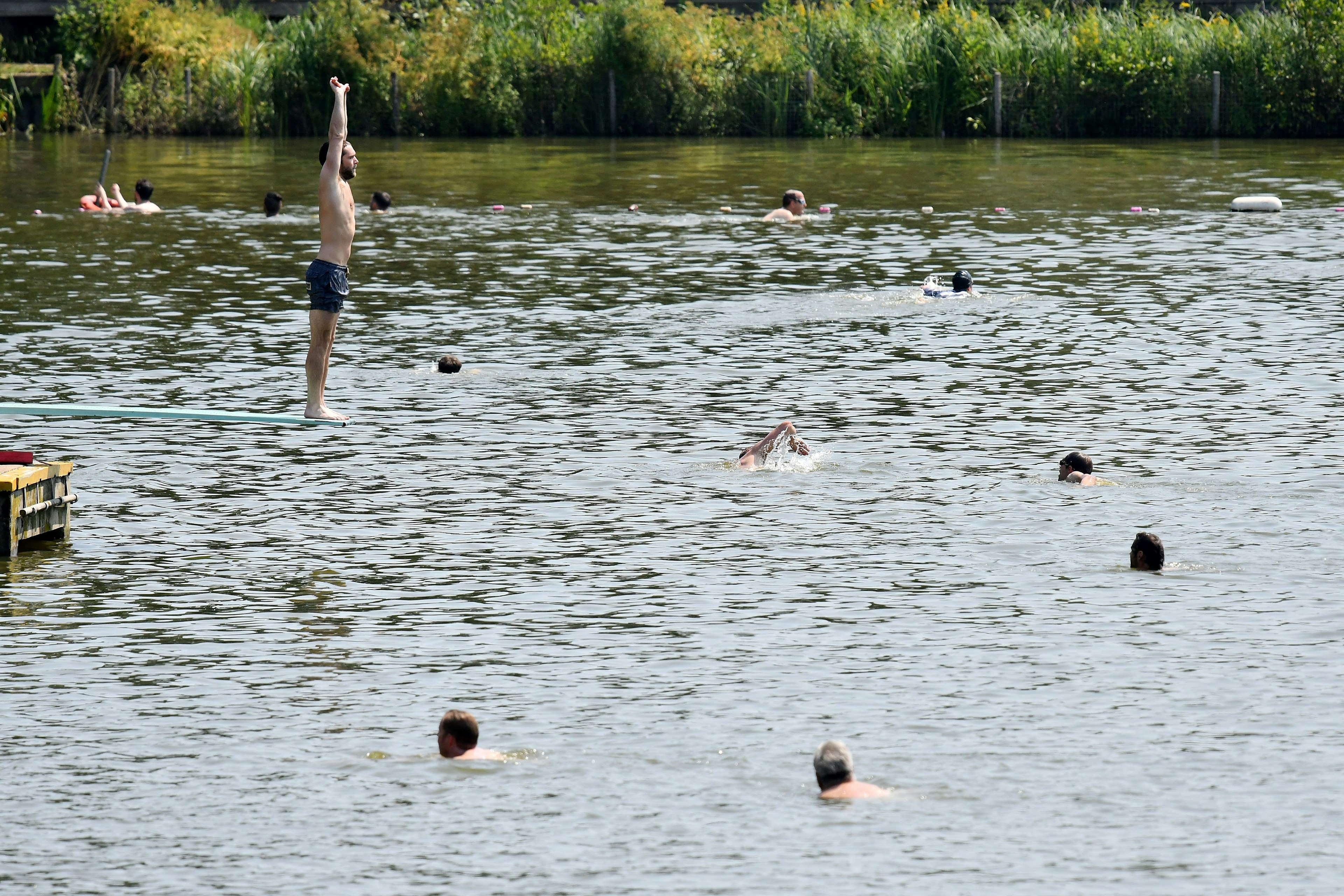 A swimmer prepares to dive into the water at the men's bathing pond in Hampstead Heath in London