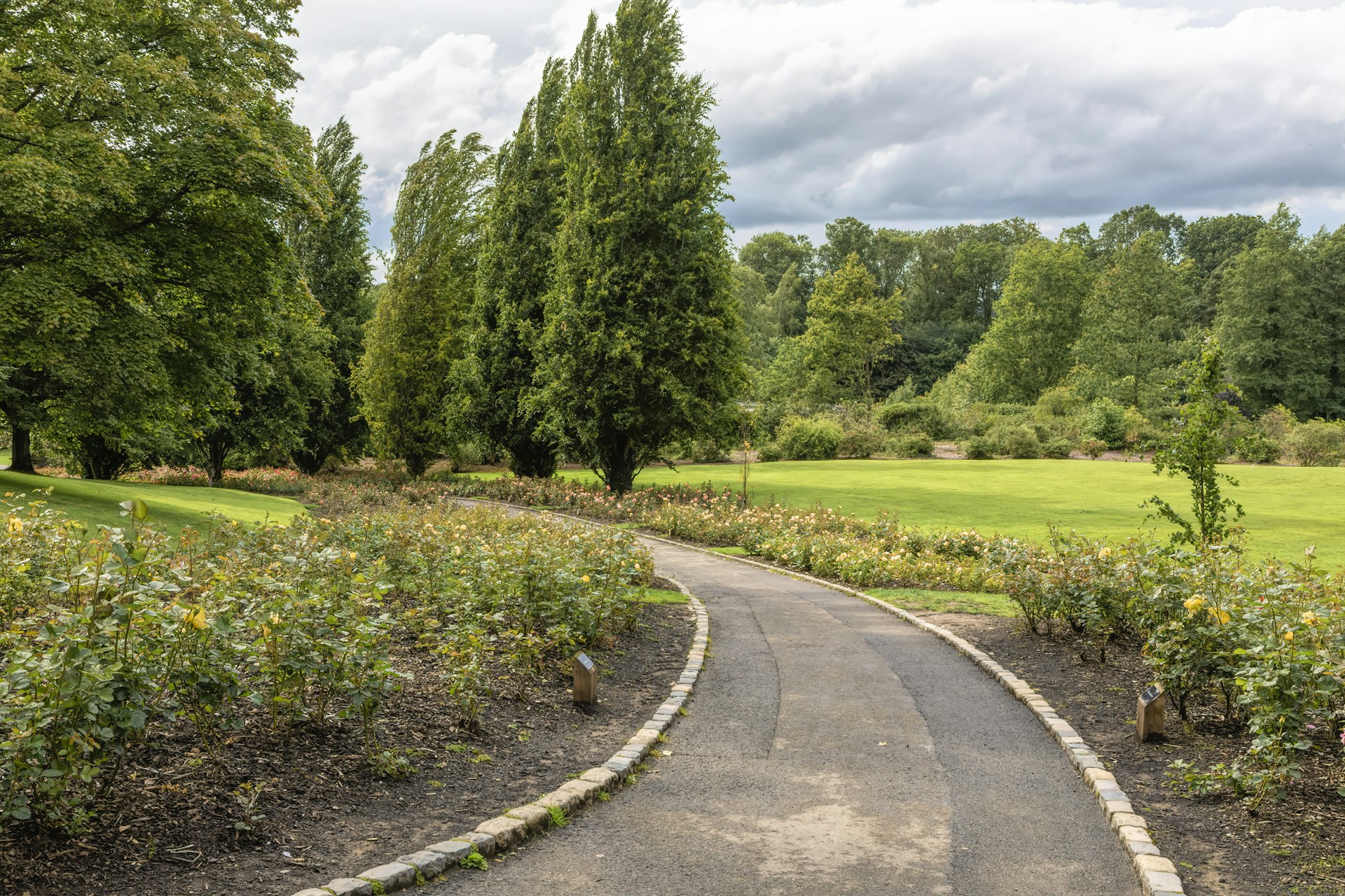 A concrete path curls around to the left between the Rose Gardens of Lady Dixon Park Park in Belfast with grass stretching out beyond them