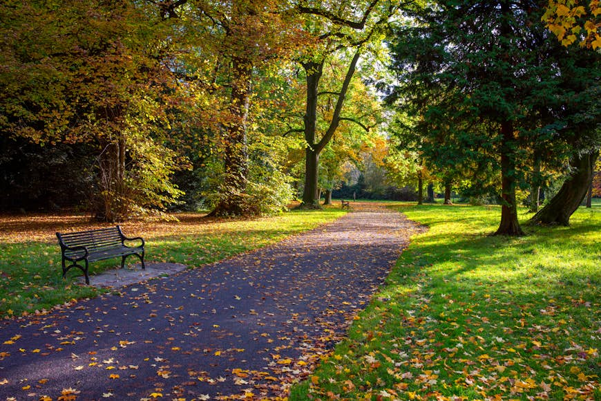 Best parks in Belfast - Lonely Planet