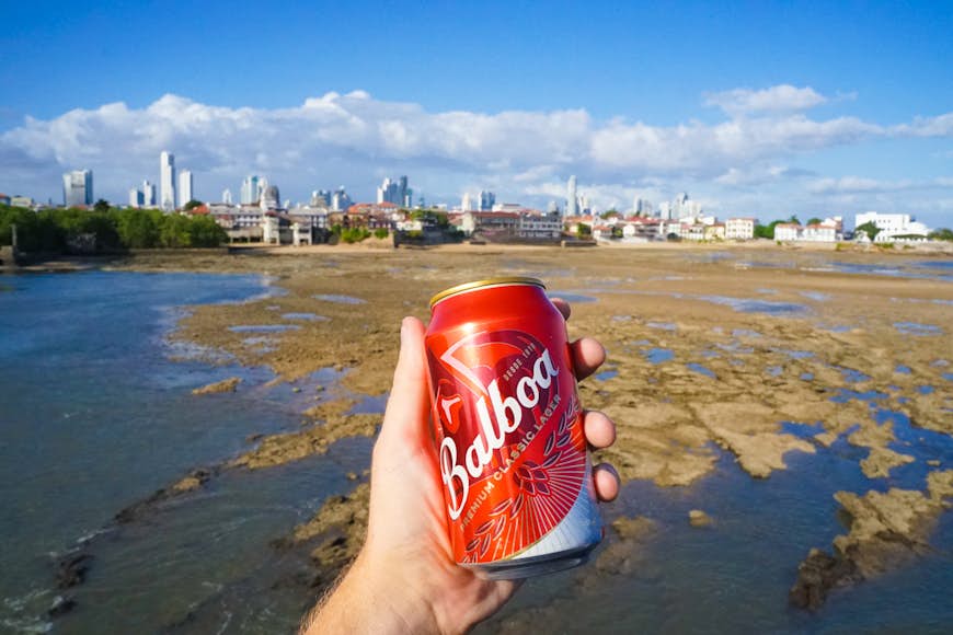 A hand holds a can of beer against a body of water with a city skyline in the distance