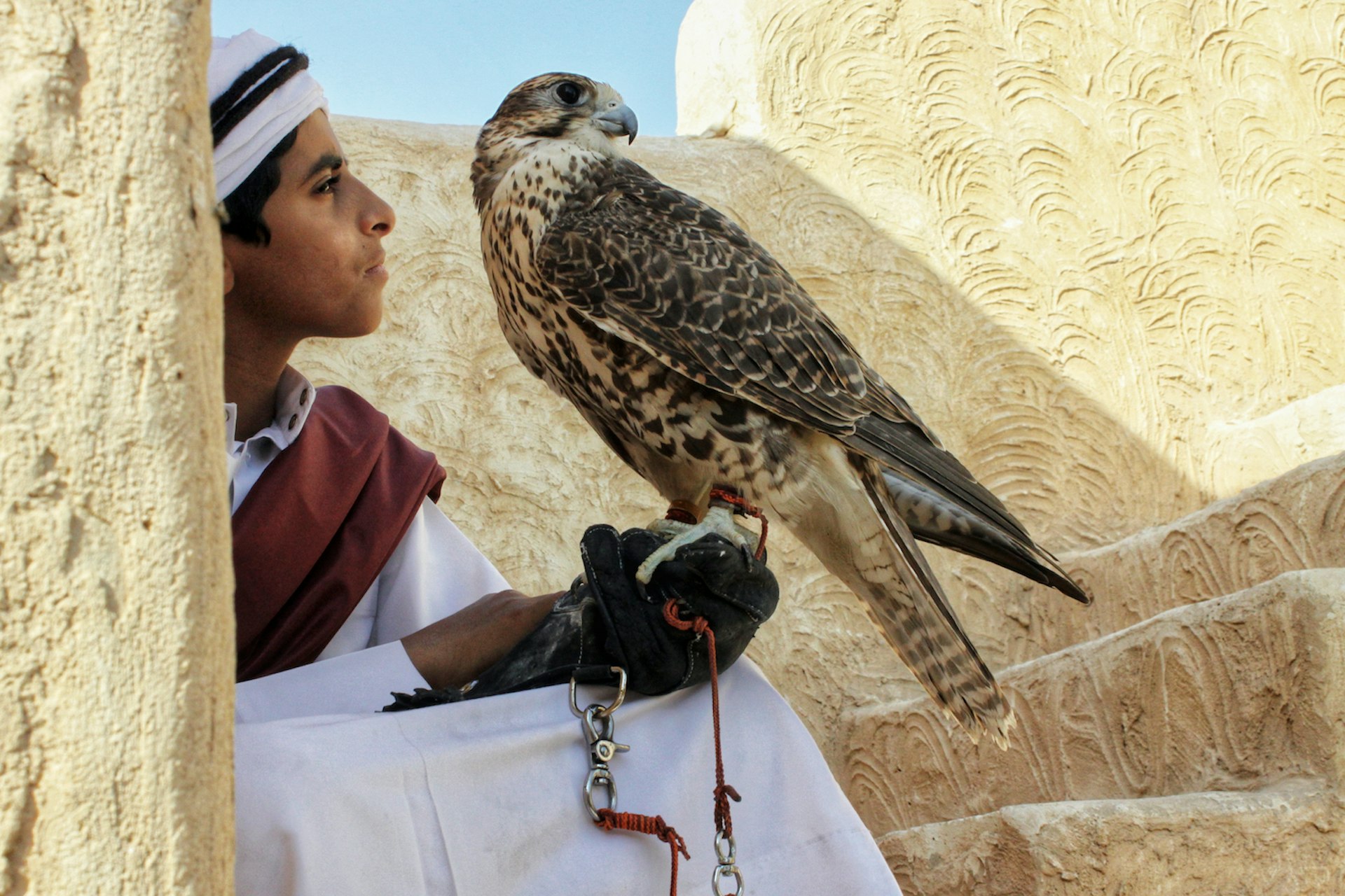 falcon travel qatar