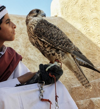 Zekreet - Qatar / December 2010: Young boy in traditional dress with his pet falcon, classic relation between some Arab and the falcons as they use it on hunting and show ; Shutterstock ID 1252615303; your: Brian Healy; gl: 65050; netsuite: Lonely Planet Online Editorial; full: When to visit Qatar