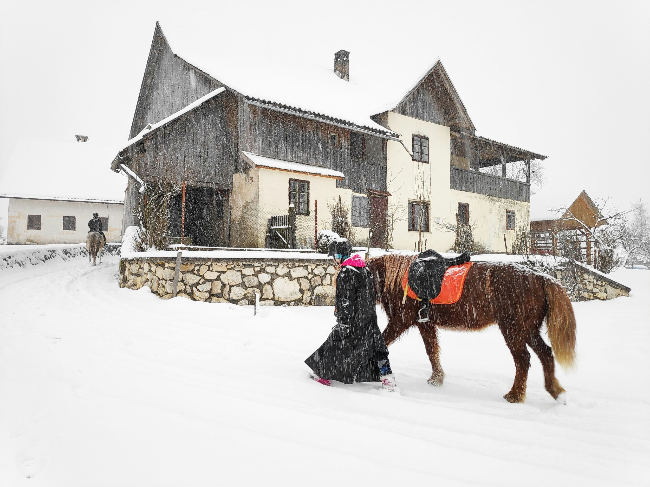 A,Walk,With,A,Horse,In,The,Snow,In,Bohinj