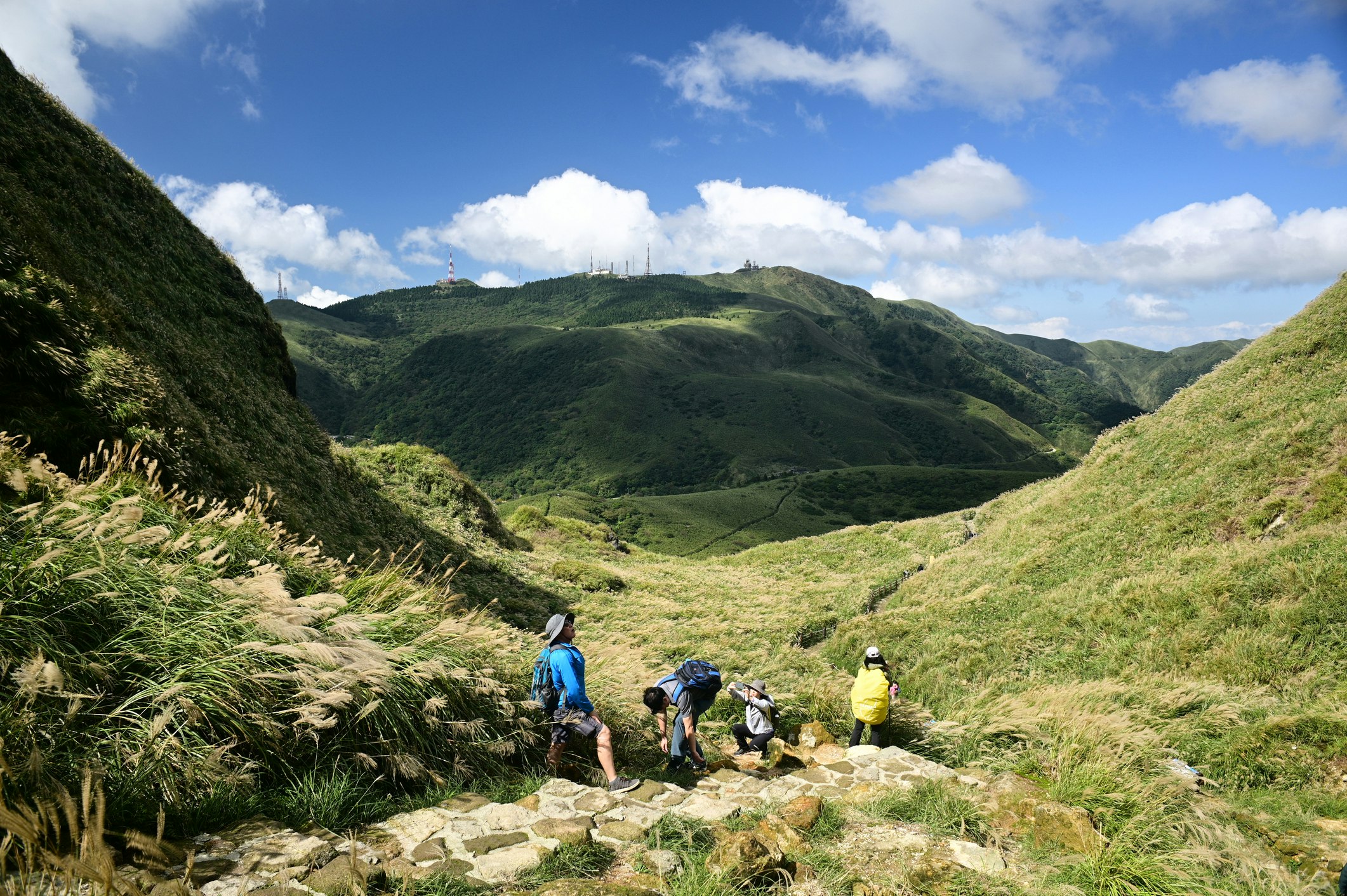 A group of friends stop to admire the view mid-hike in Yangmingshan National Park