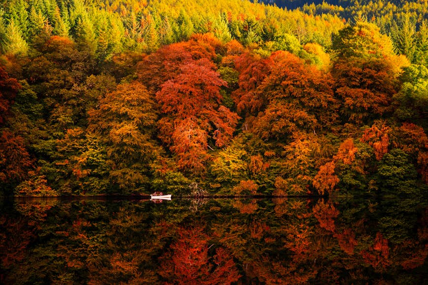A rowboat on Loch Faskally next to trees with fall foliage reflected in the water, Pitlochry, Perthshire, Scotland, United Kingdom
