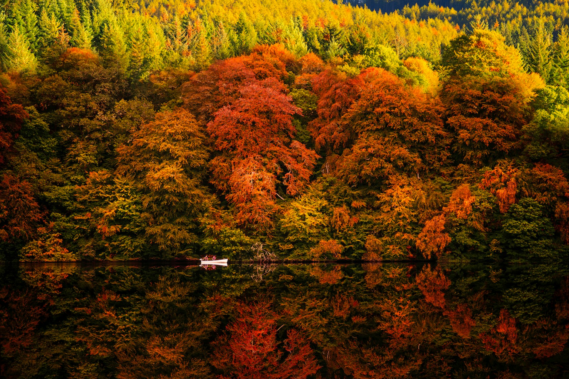 A rowboat on Loch Faskally next to trees with fall foliage reflected in the water, Pitlochry, Perthshire, Scotland, United Kingdom