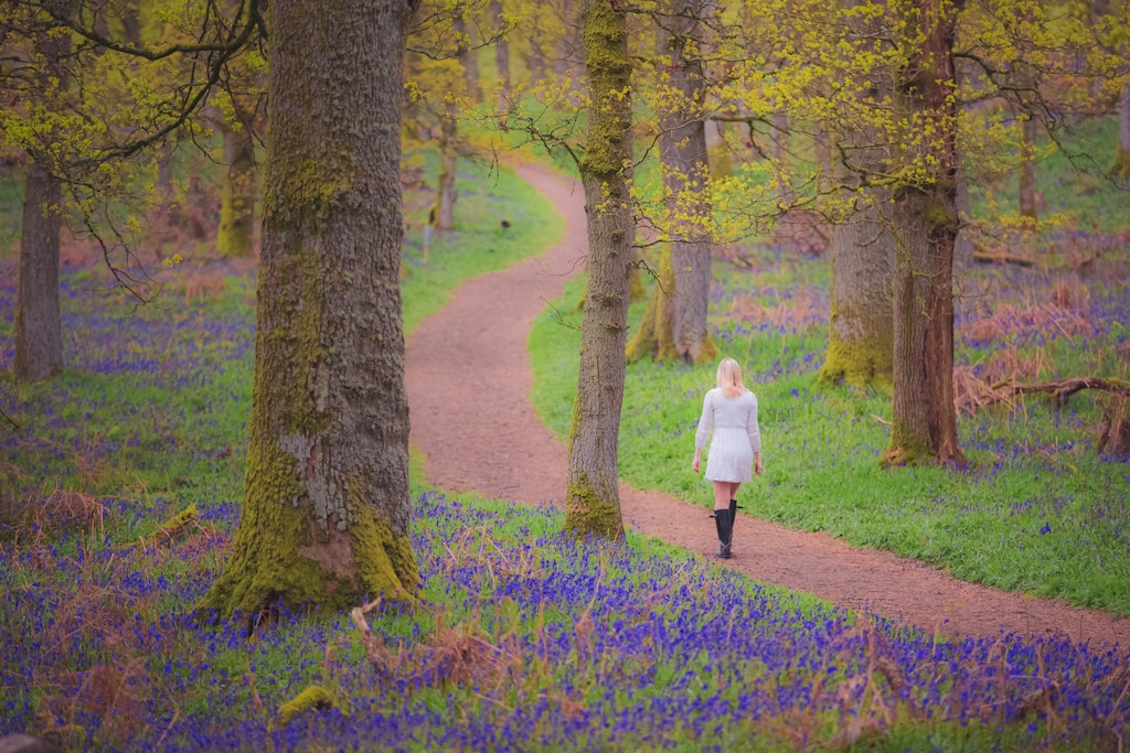 A young blonde female visitor explores a forest woodland of colourful bluebells (Hyacinthoides) in Spring at Kinclaven Bluebell Wood in Perthshire, Scotland.; Shutterstock ID 1933093568; your: Brian Healy; gl: 65050; netsuite: Lonely Planet Online Editorial; full: When to visit Scotland