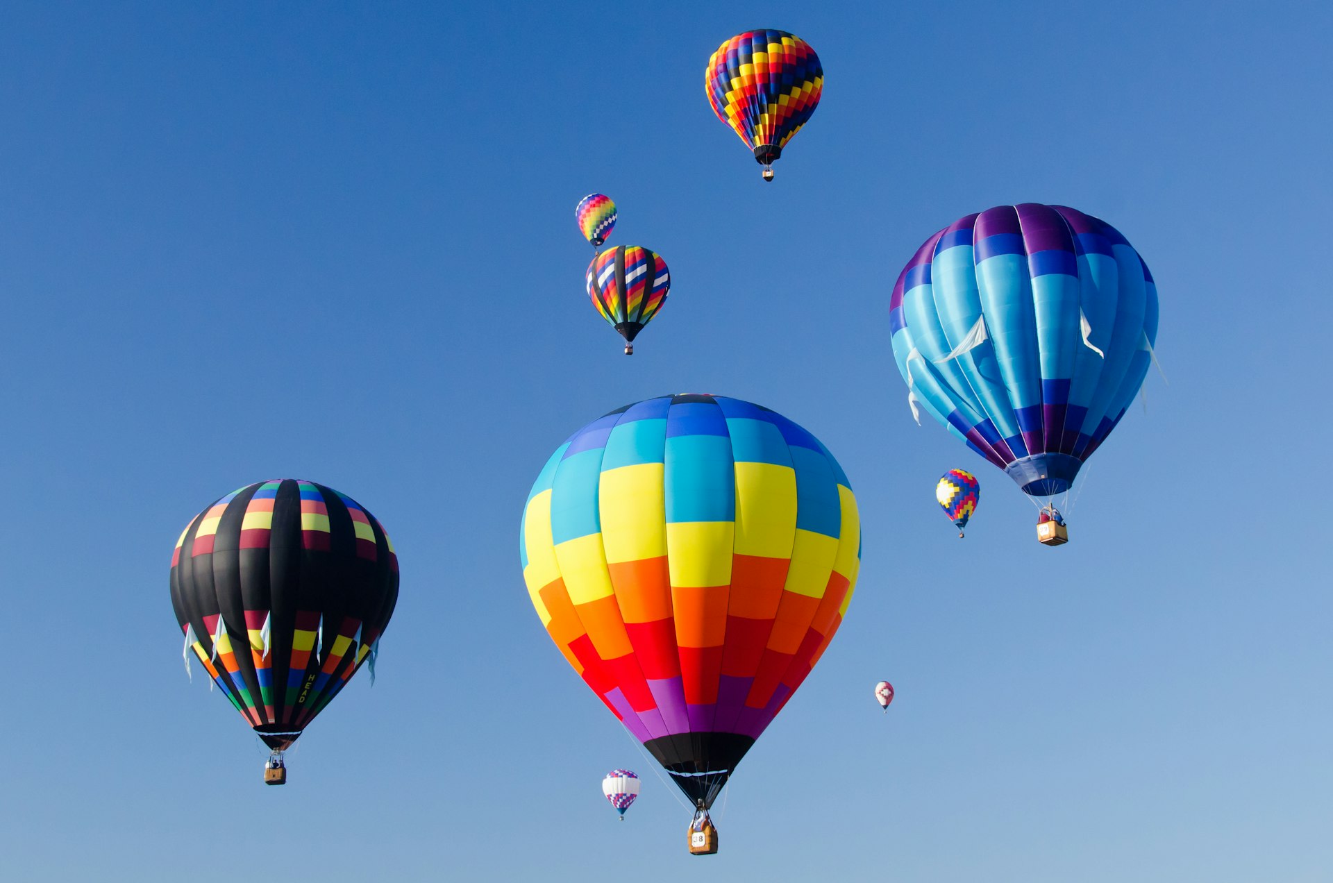 Colorful mass of hot air balloons in the air in South Carolina