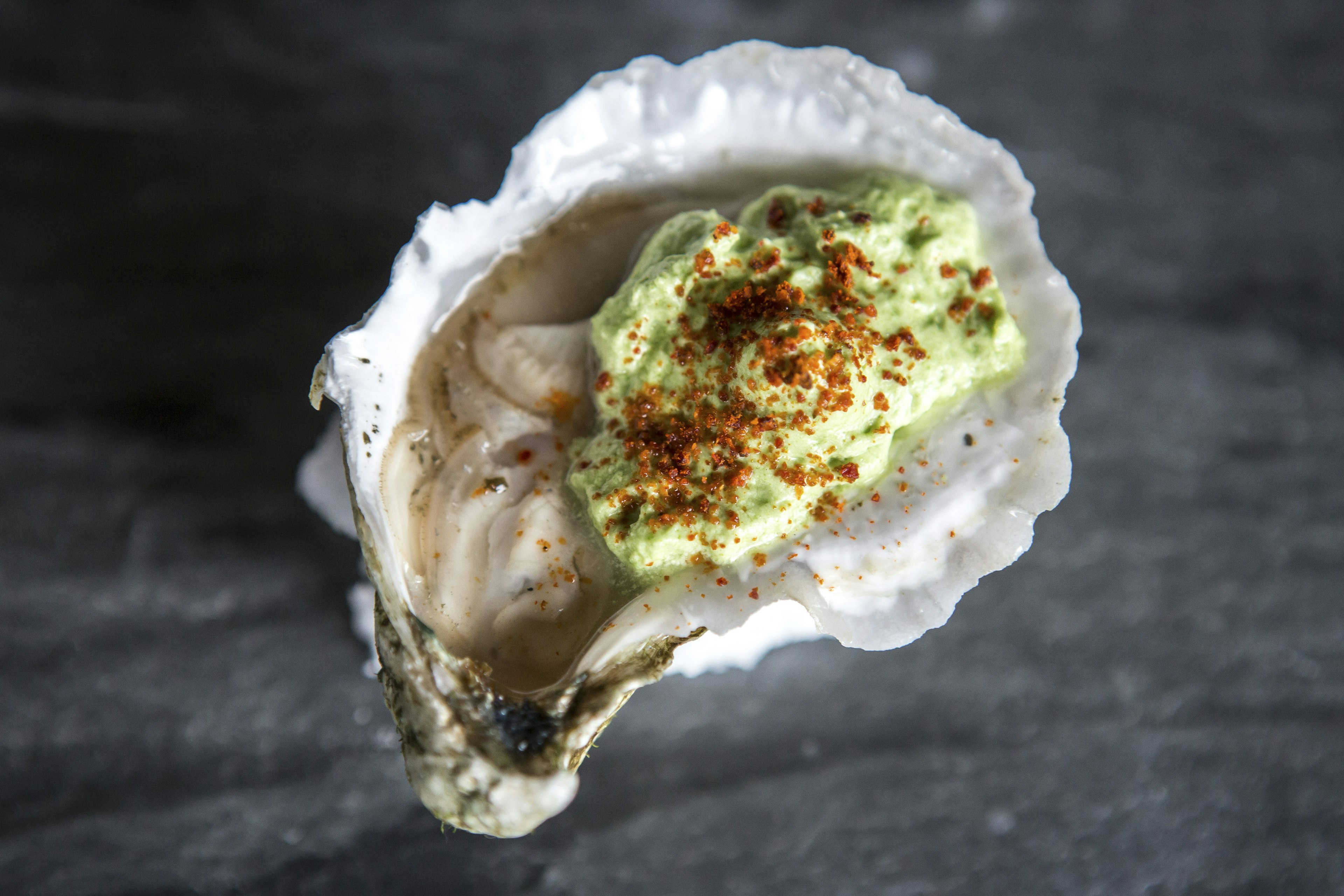 Close-up photo of Wellfleet oyster on the half shell