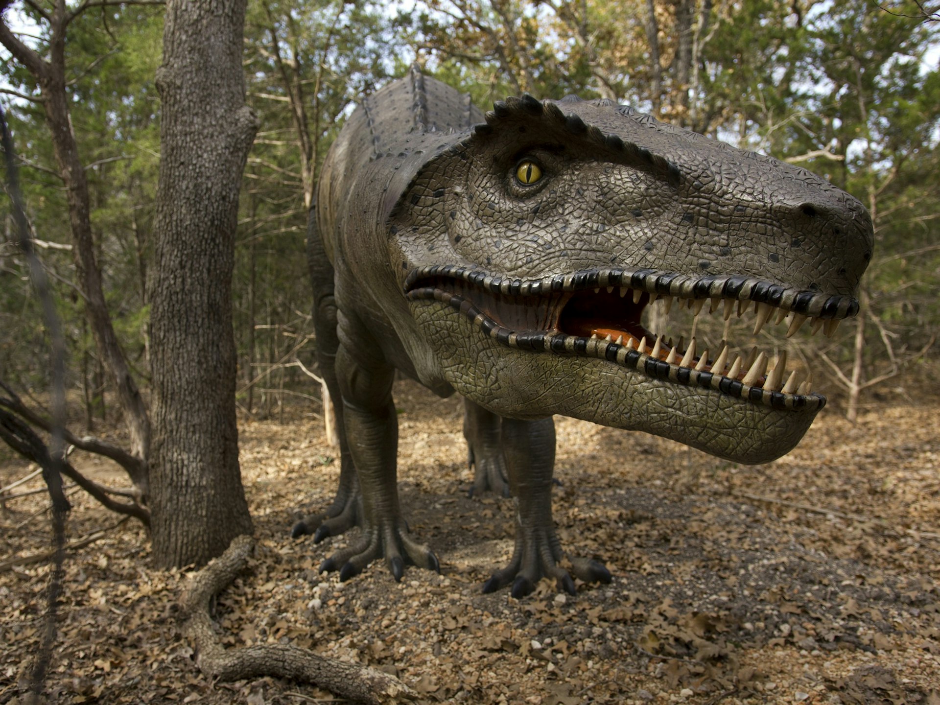 Unexpected-Texas_Bastrop-Co_Dino-Park.jpg