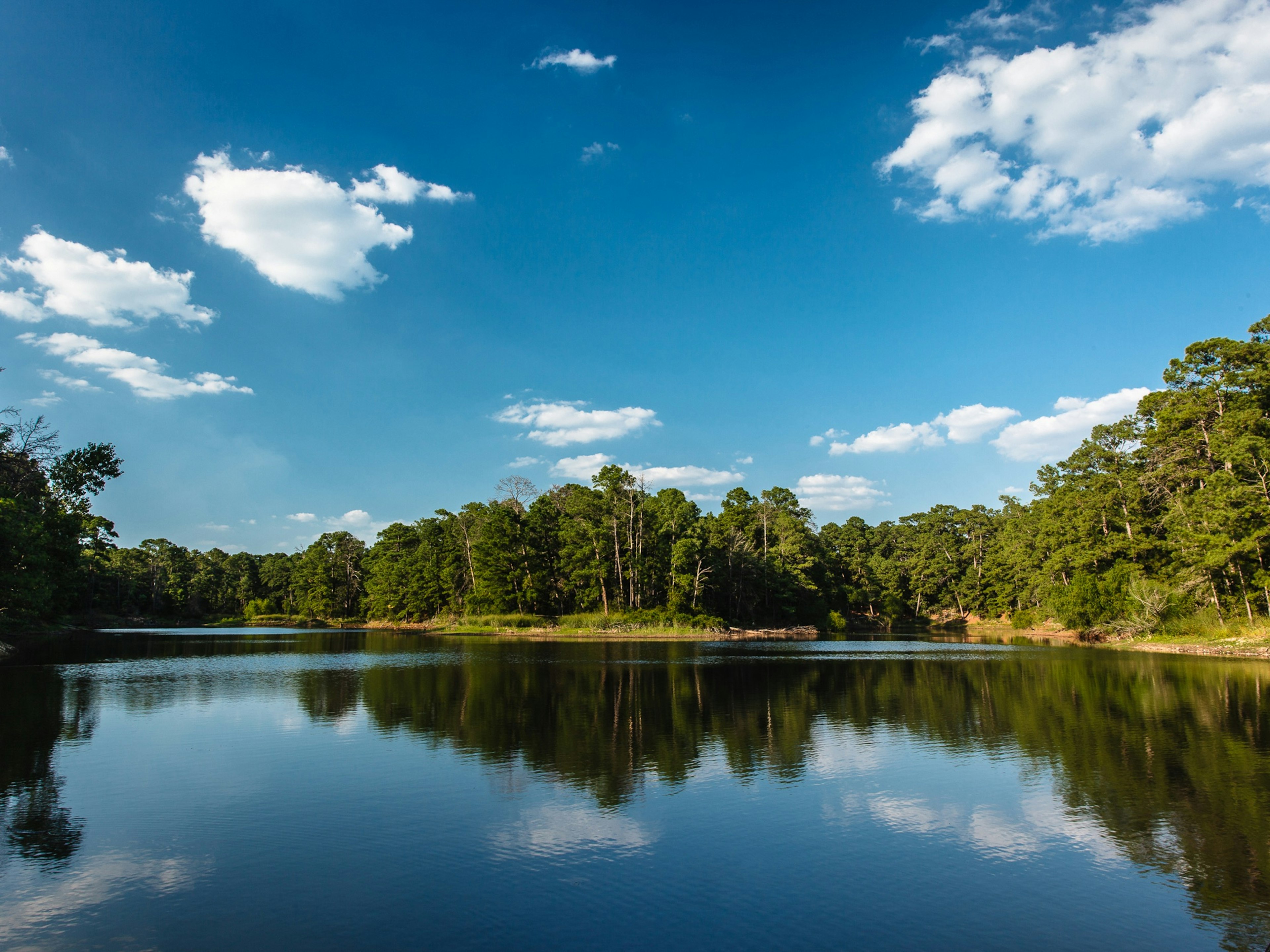 Unexpected-Texas_Bastrop-Co_Lake.jpg