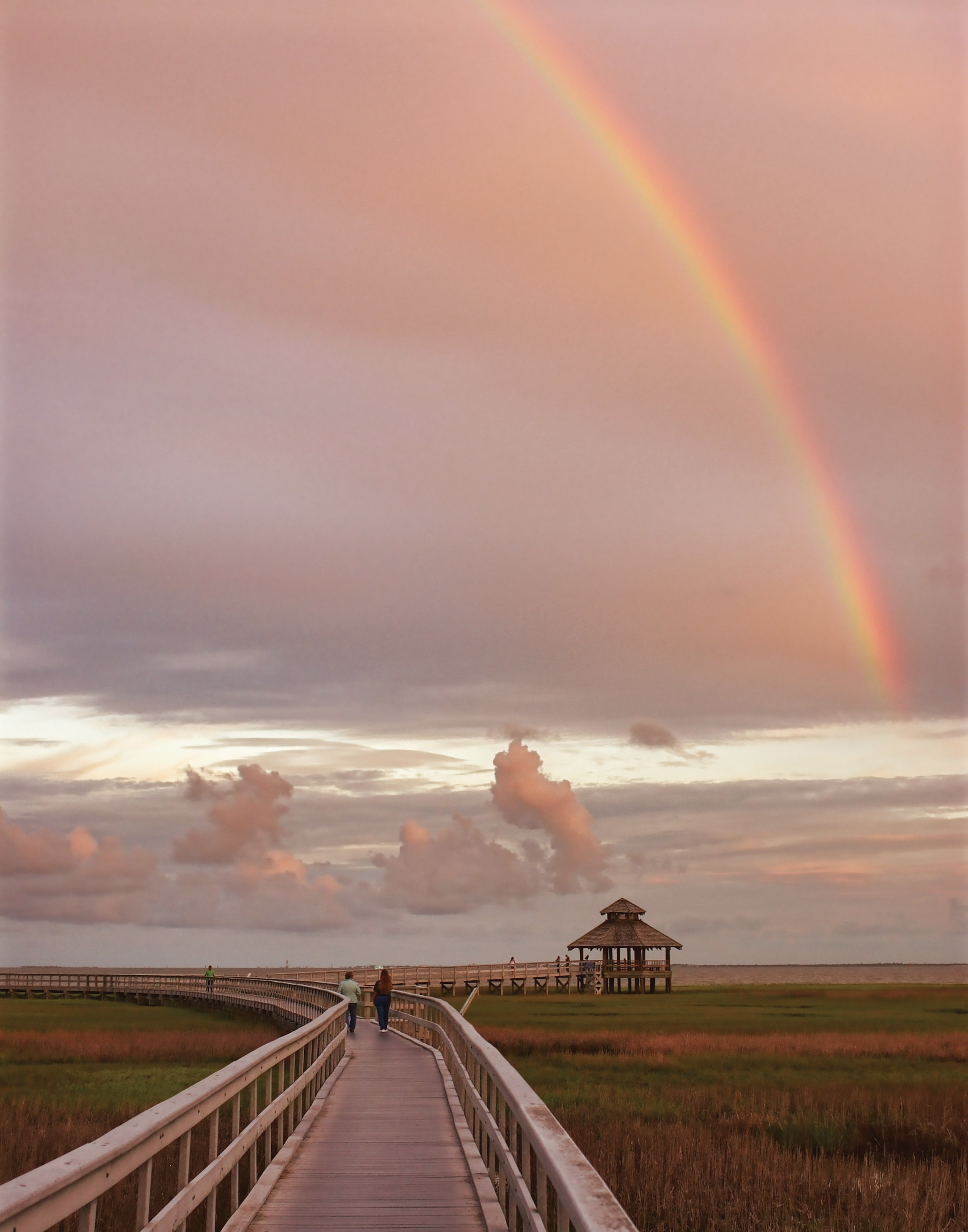 Unexpected-Texas_Port-Lavaca_Wetlands.jpg