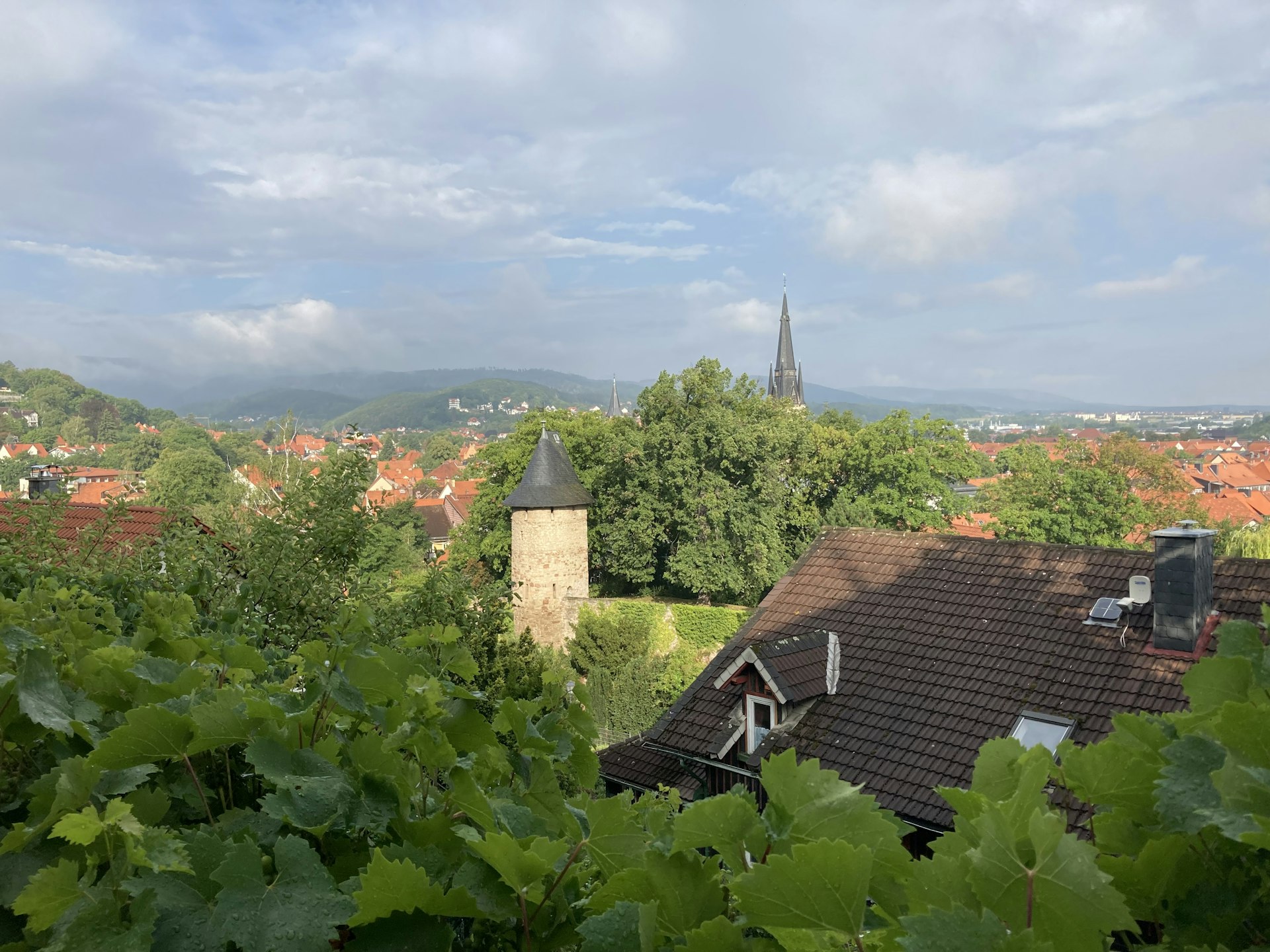 Leafy trees with red-roofed buildings in rural Germany. 