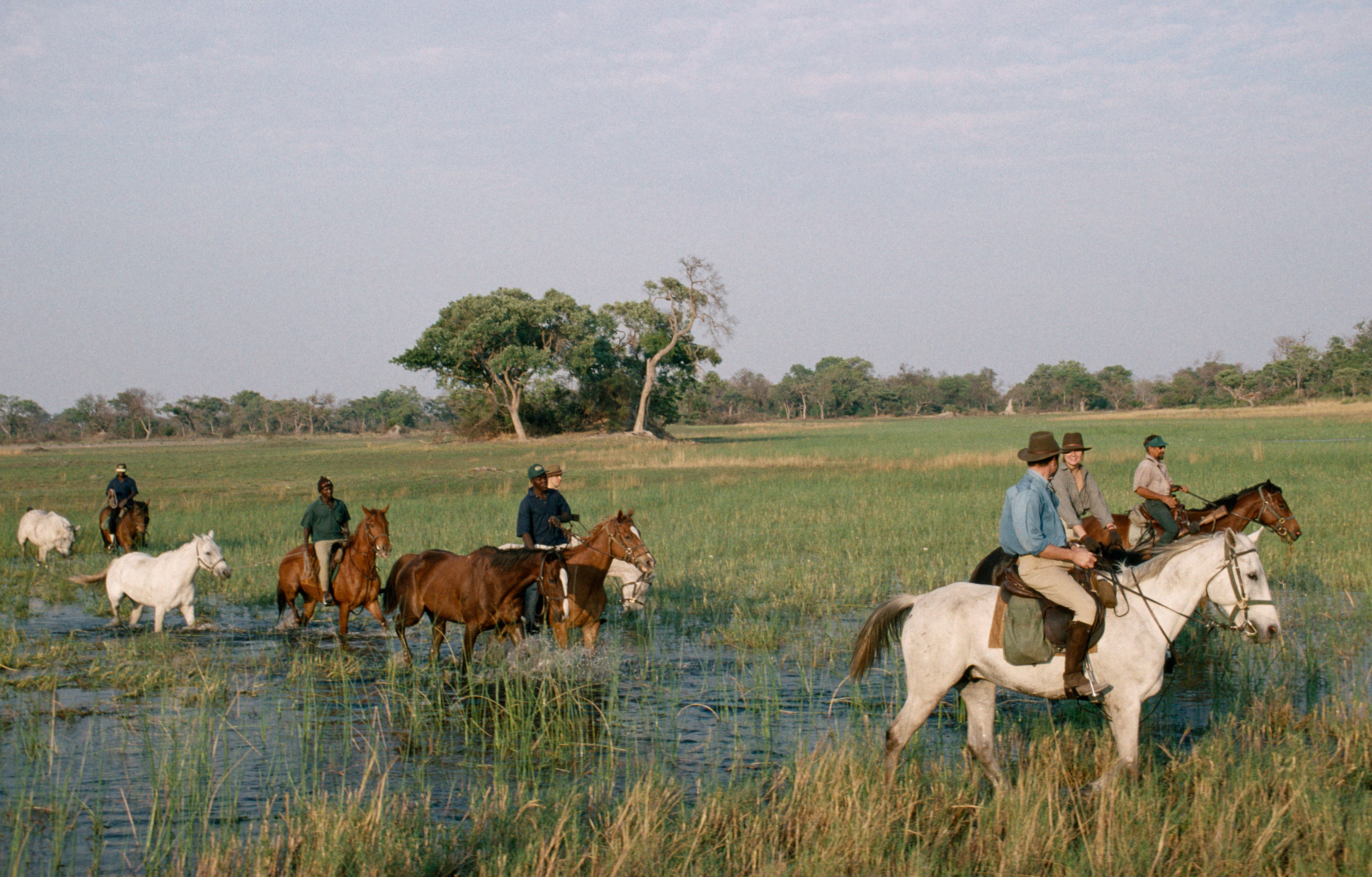 BOTSWANA Southern Africa Okavango Delta Horse safari with tourists riding through water marshes