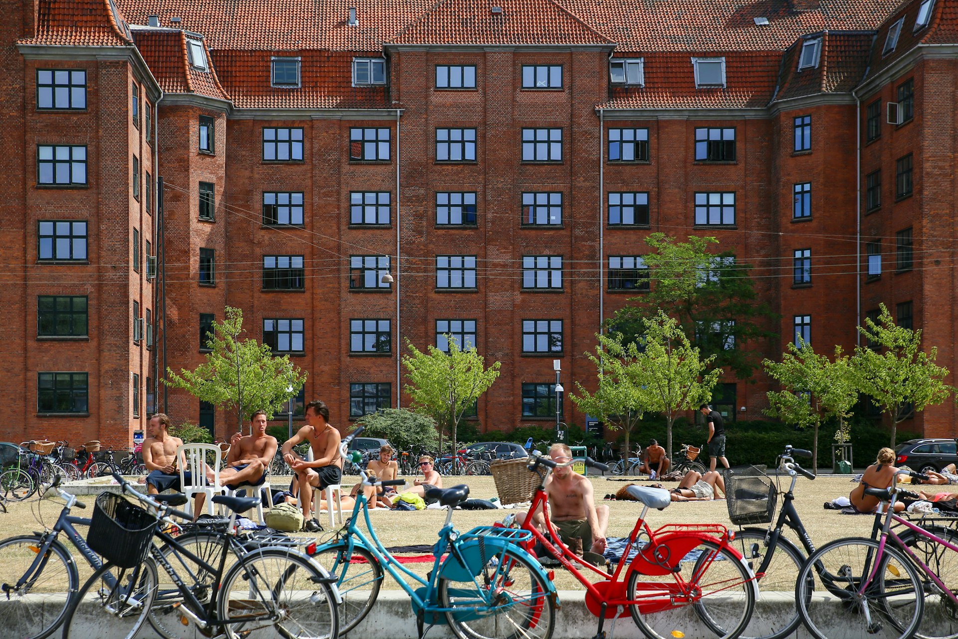 A row of parked bicycles obscures the view of the people sat on a beach sunbathing
