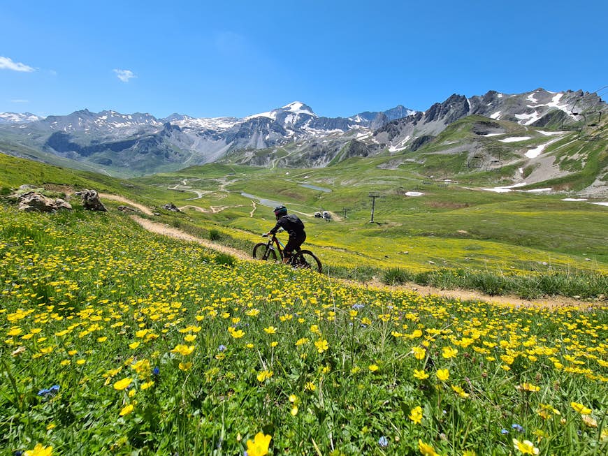 Woman riding a bike downhill in Tignes Bike Park in France surrounded by fields in bloom with yellow wildflowers