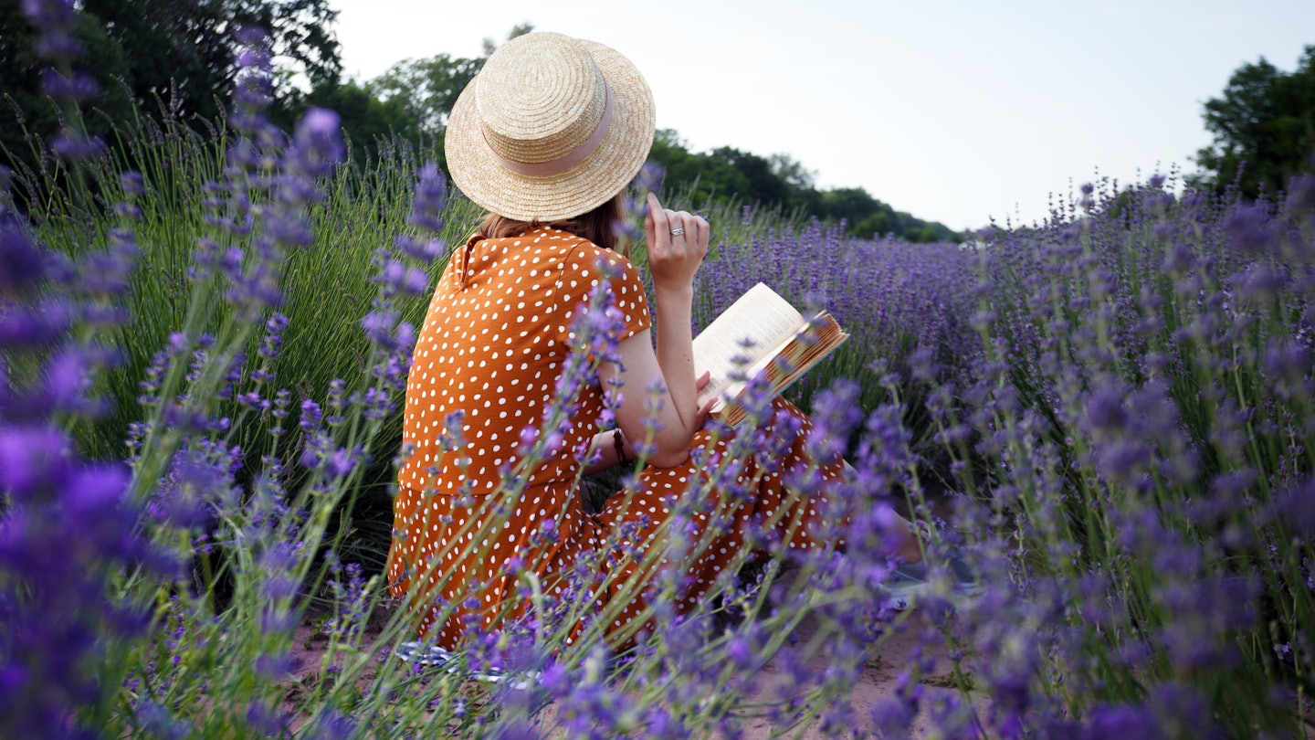 Provence - girl reading a book in a lavender field and basket with lavender in the foreground.; Shutterstock ID 1937252590; your: Sloane Tucker; gl: 65050; netsuite: Online Editorial; full: France Lavender Fields article