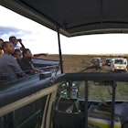 A tourists view from the safari van in Kenya's Nairobi National Park.