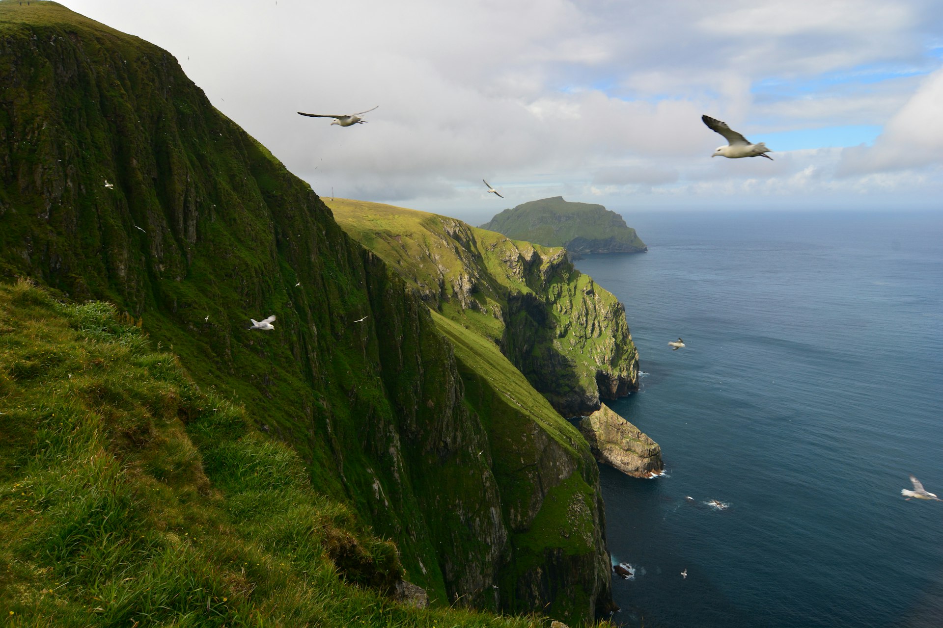 Birds flying above the ocean in St Kilda, UNESCO Heritage Site, Scotland.