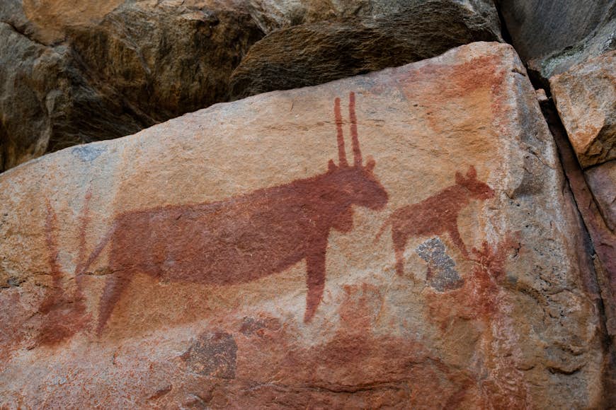 Ancient rock art of African wildlife in the Tsodilo Hills, Botswana