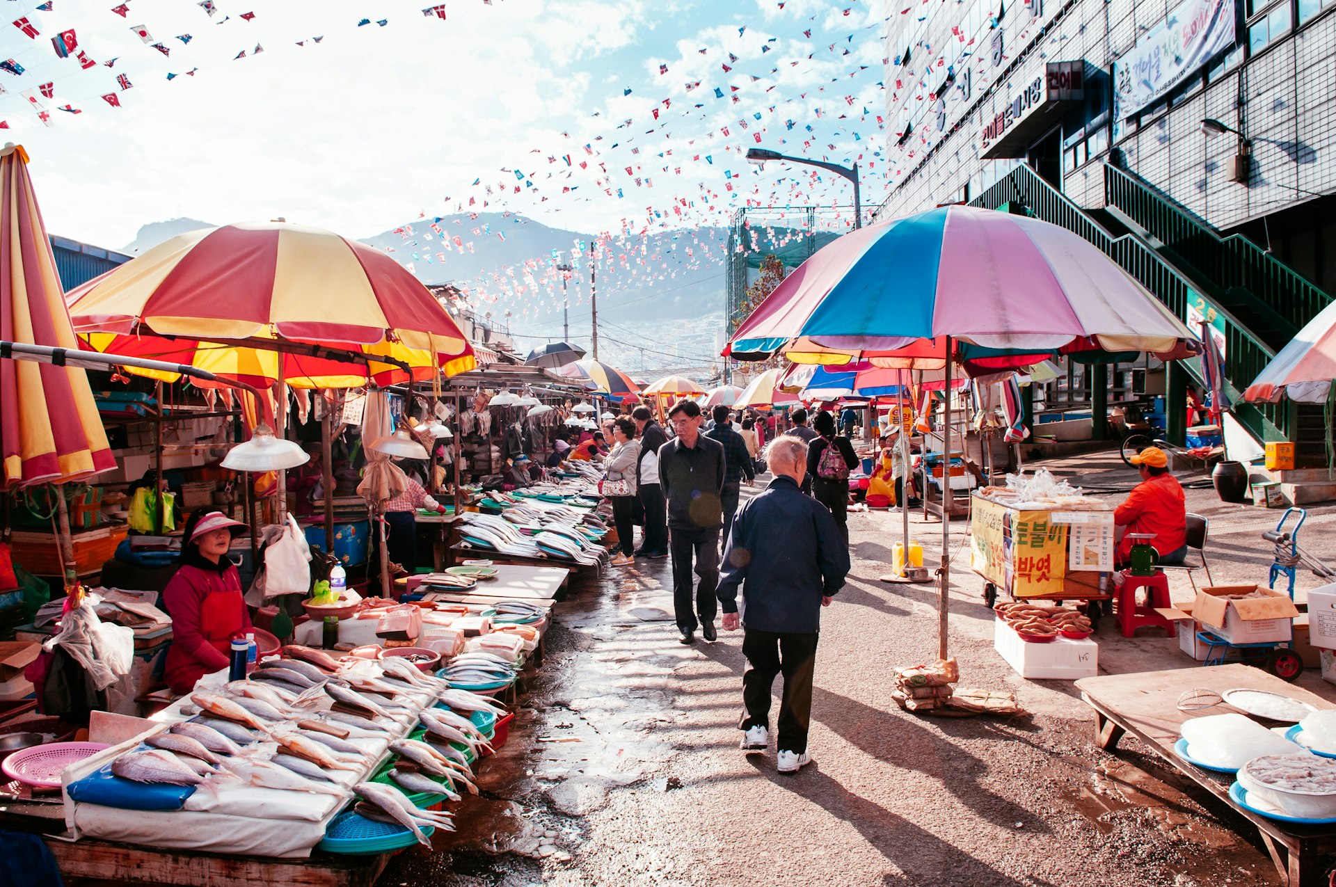 Various fish stalls and colourful umbrellas at Jagalchi seafood market, Busan's most famous tourist attraction