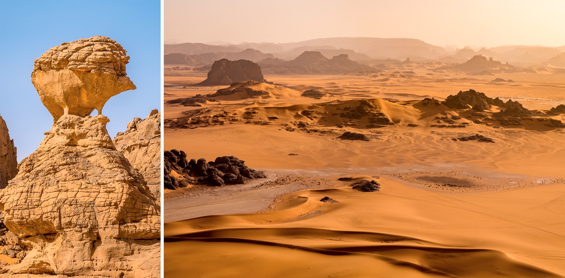LEFT: The Hedgehog rock formation; RIGHT: Rock formations create a forest-like expanse across Tassili National Park