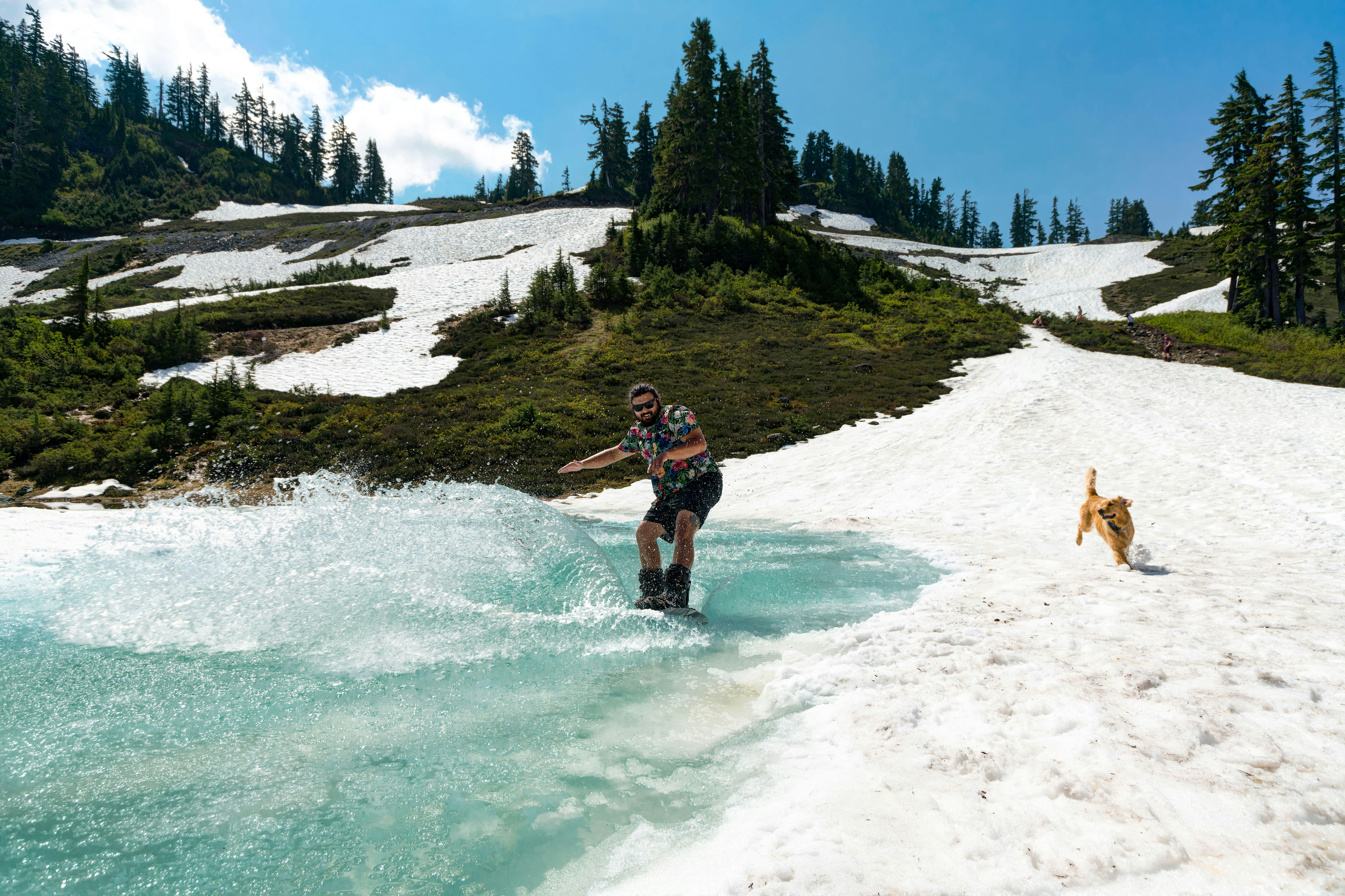 Skier on Melted Snow. Heather Meadows, North Cascades National Park, Washington State, USA