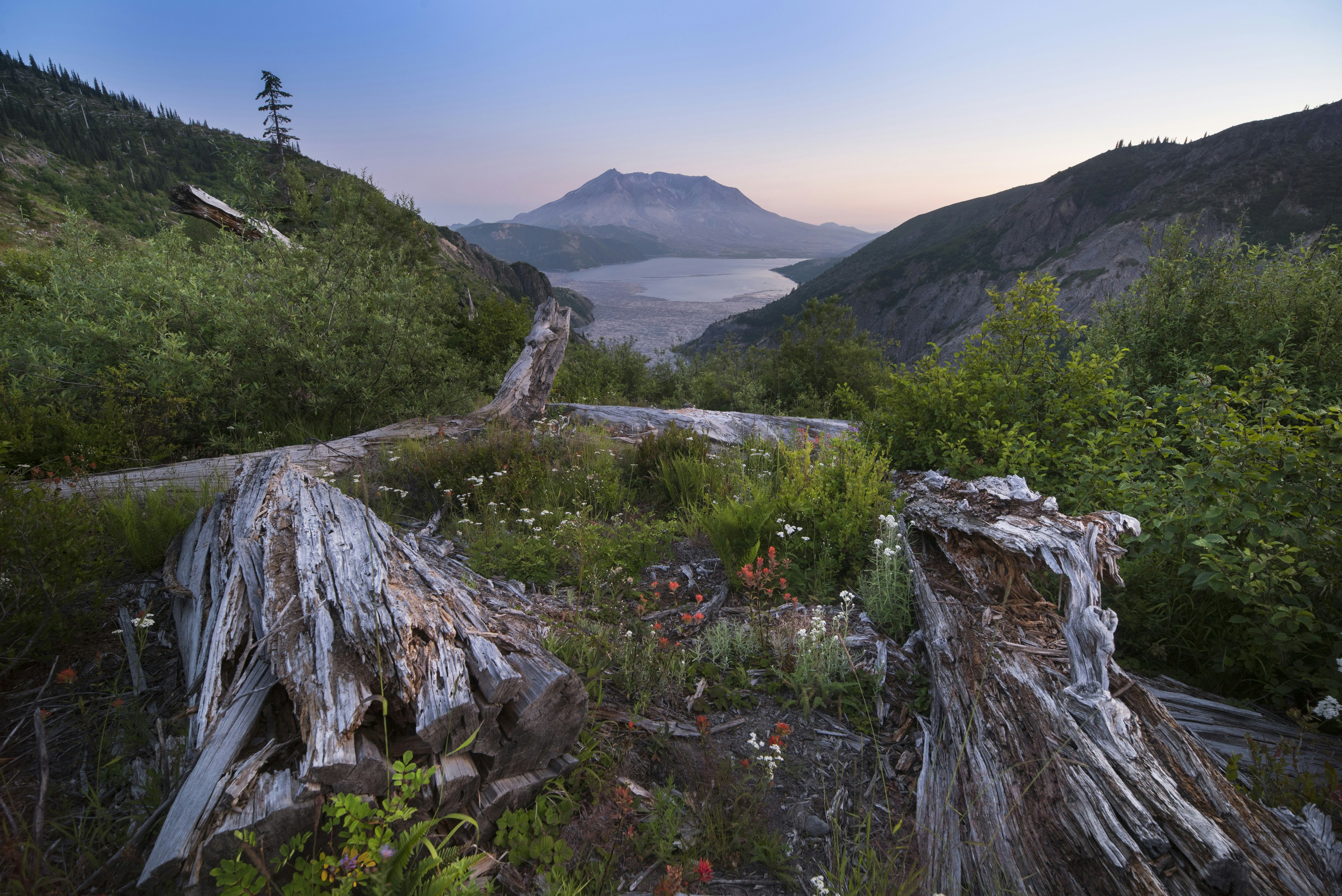 Mt St Helens at Sunset