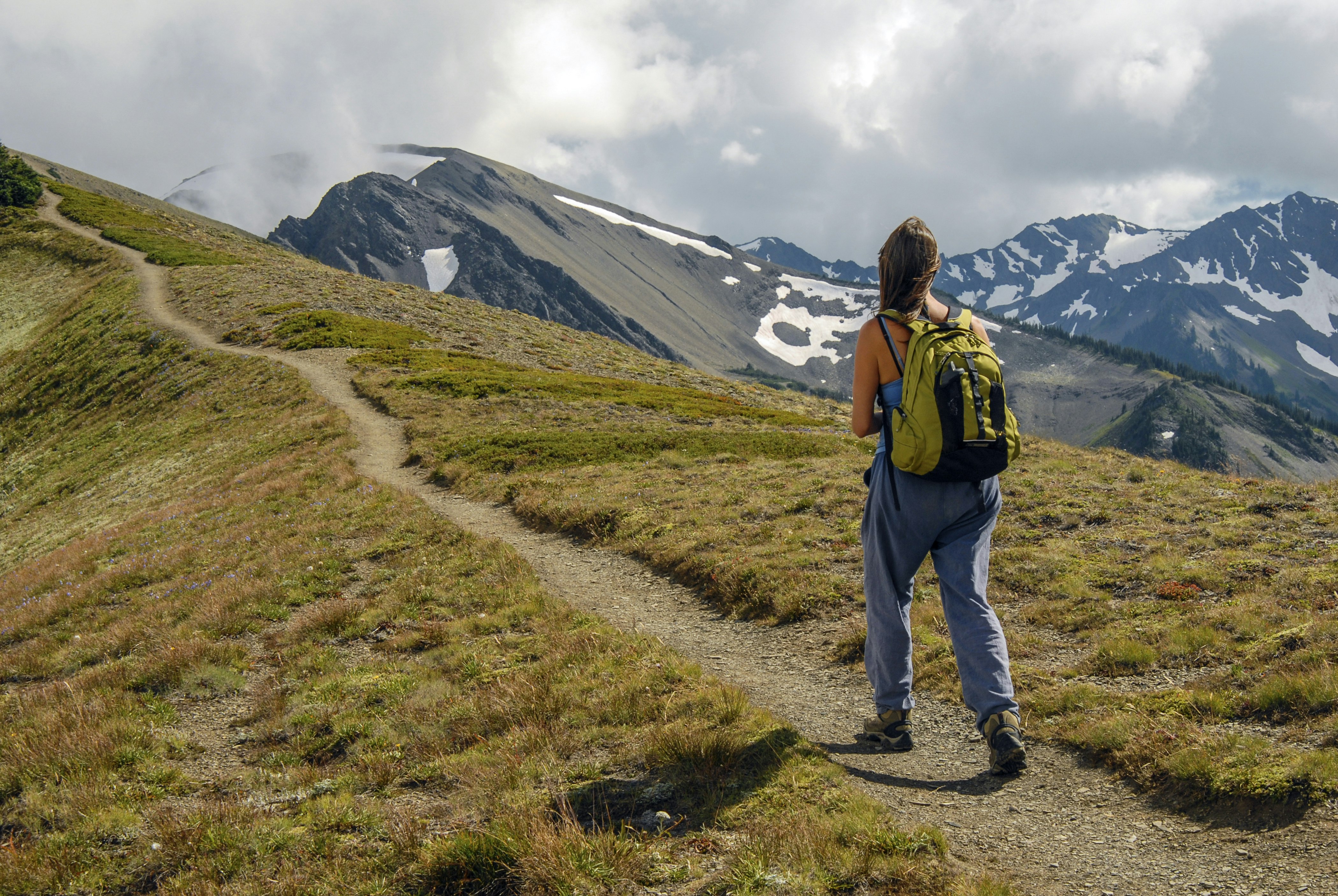 Hurricane Ridge is in Olympic National Park, Washington