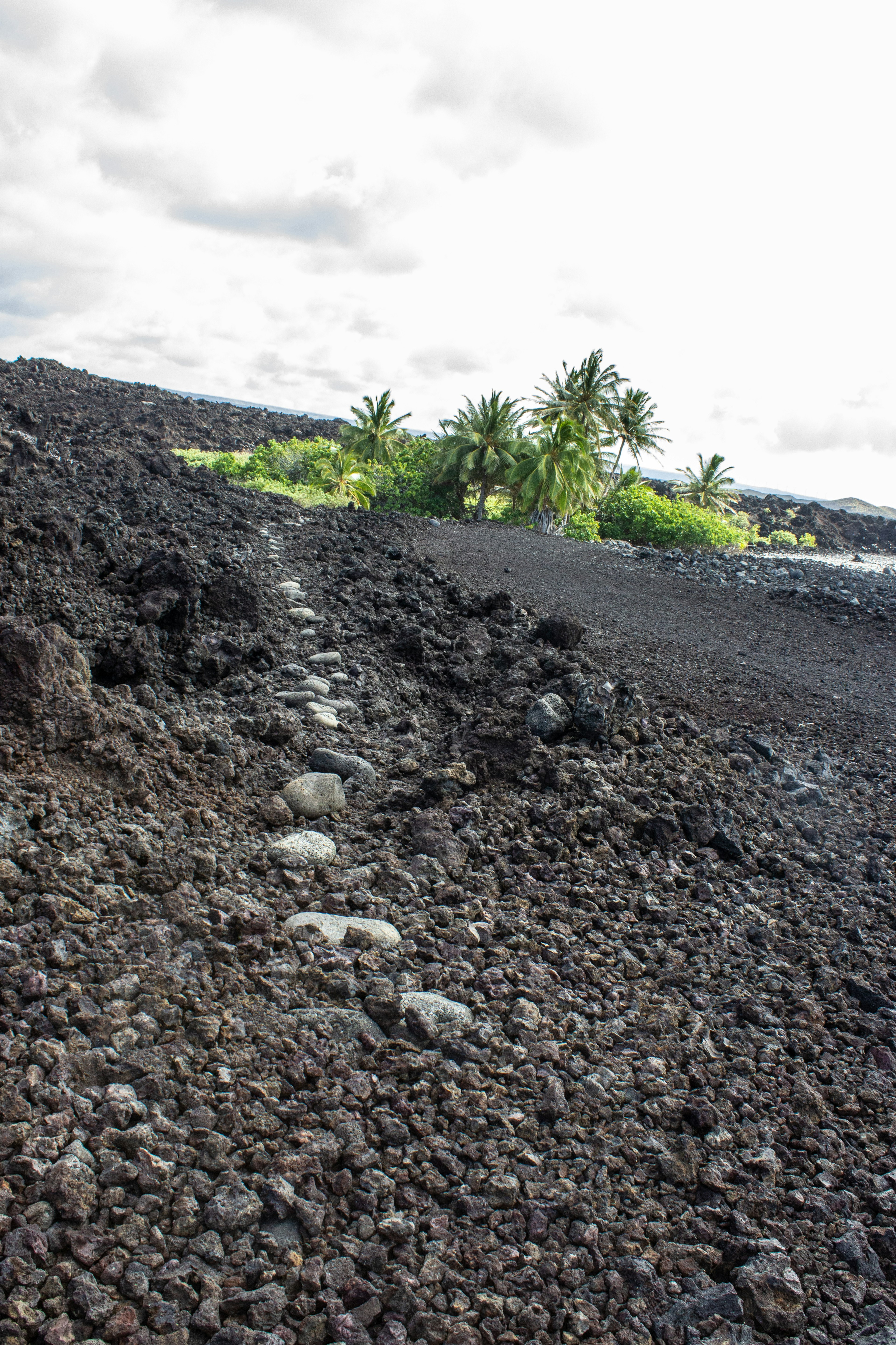 A Historic Trail at Pōhue; Pōhue holds a network of culturally and historically significant trails