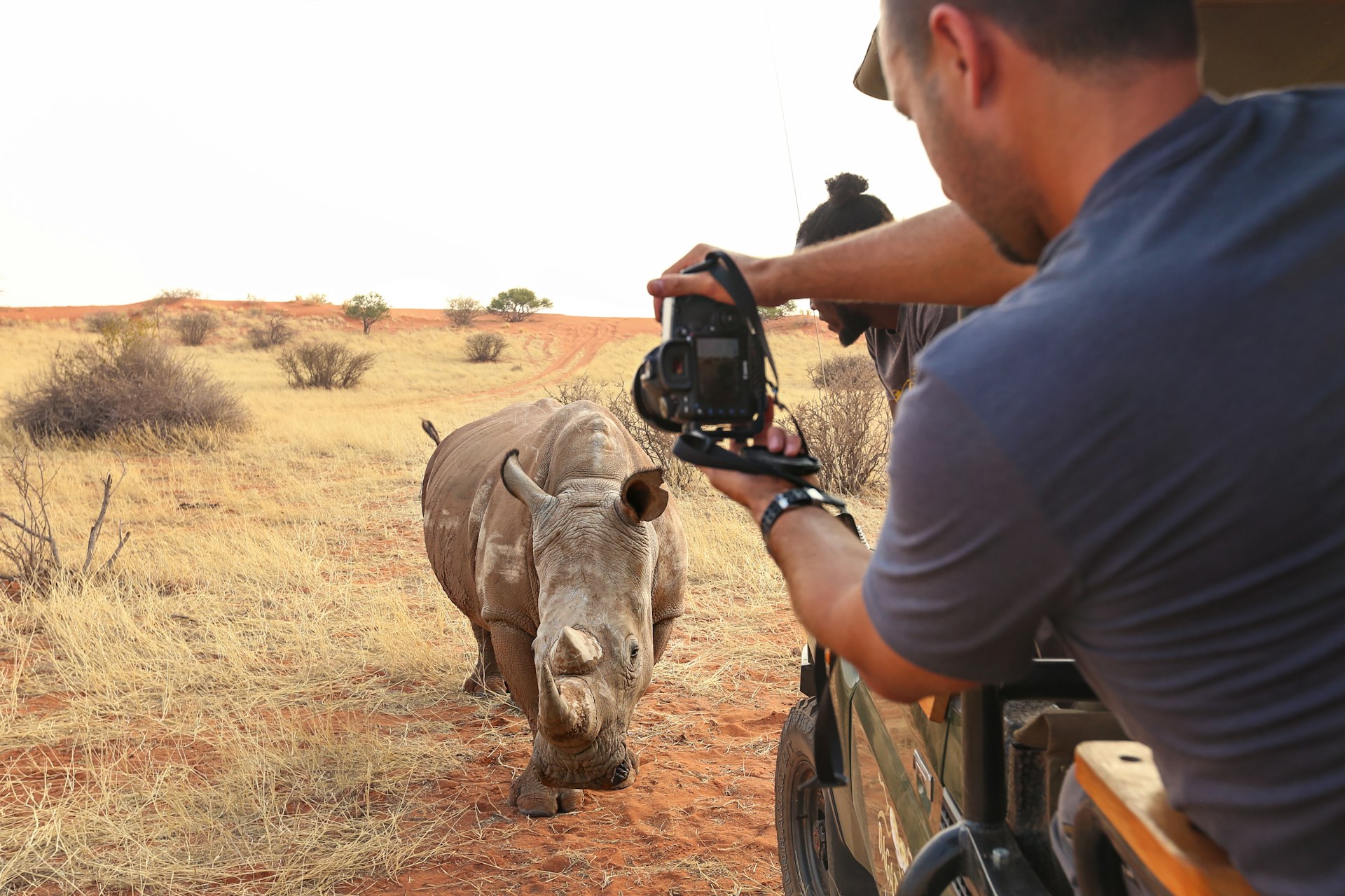 A tourist in an open vehicle photographs a rhino in the Kalahari Desert, Namibia