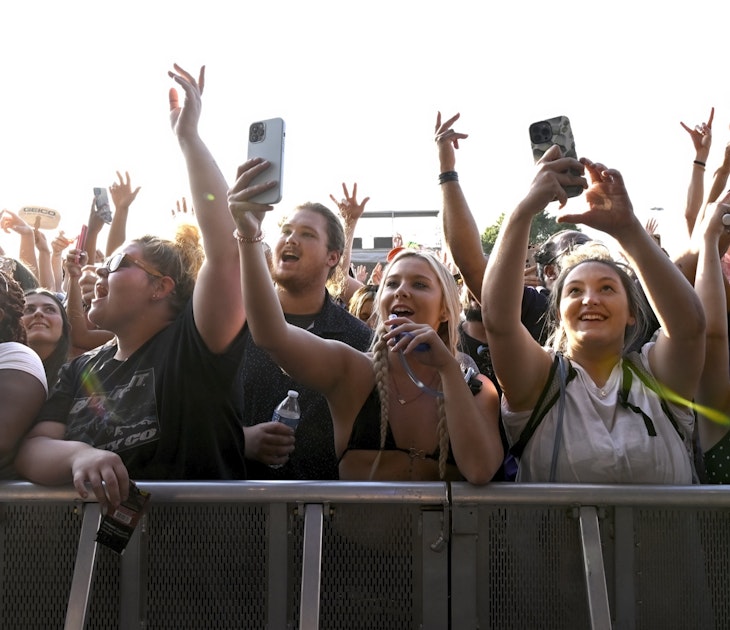 Fans cheer, while some hold up their phones, as they watch performers during the Beale Street Music Festival. 